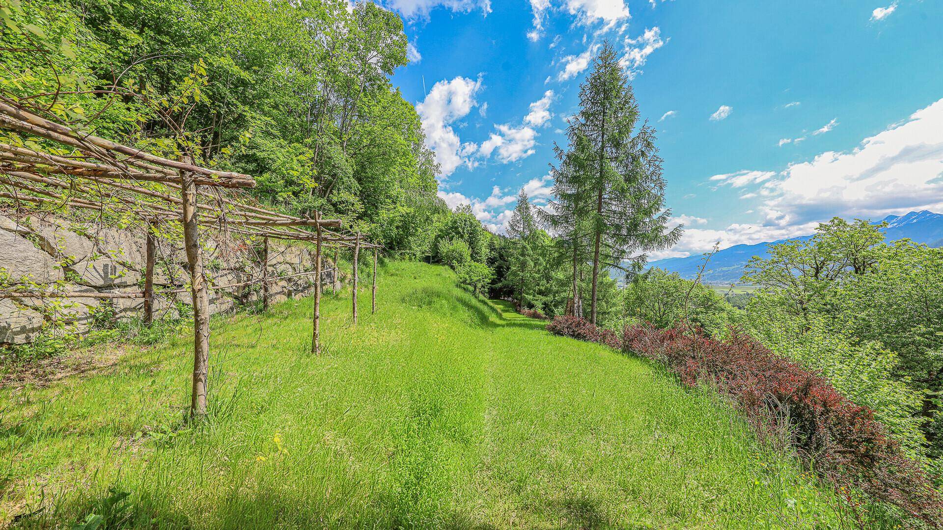 Grüner Gartenweg mit Rankhilfe am Hang, umgeben von Bäumen und Bergblick.