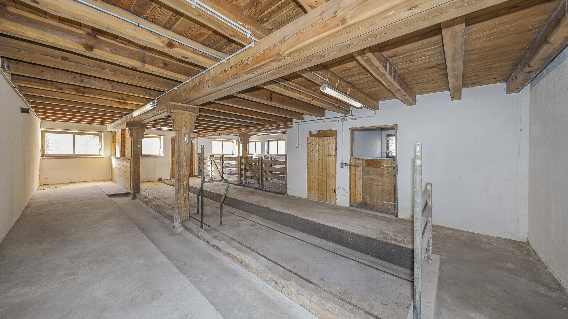 Großer Raum mit sichtbaren Holzbalken, Betonboden und Fenstern, möglicherweise ein Stall.