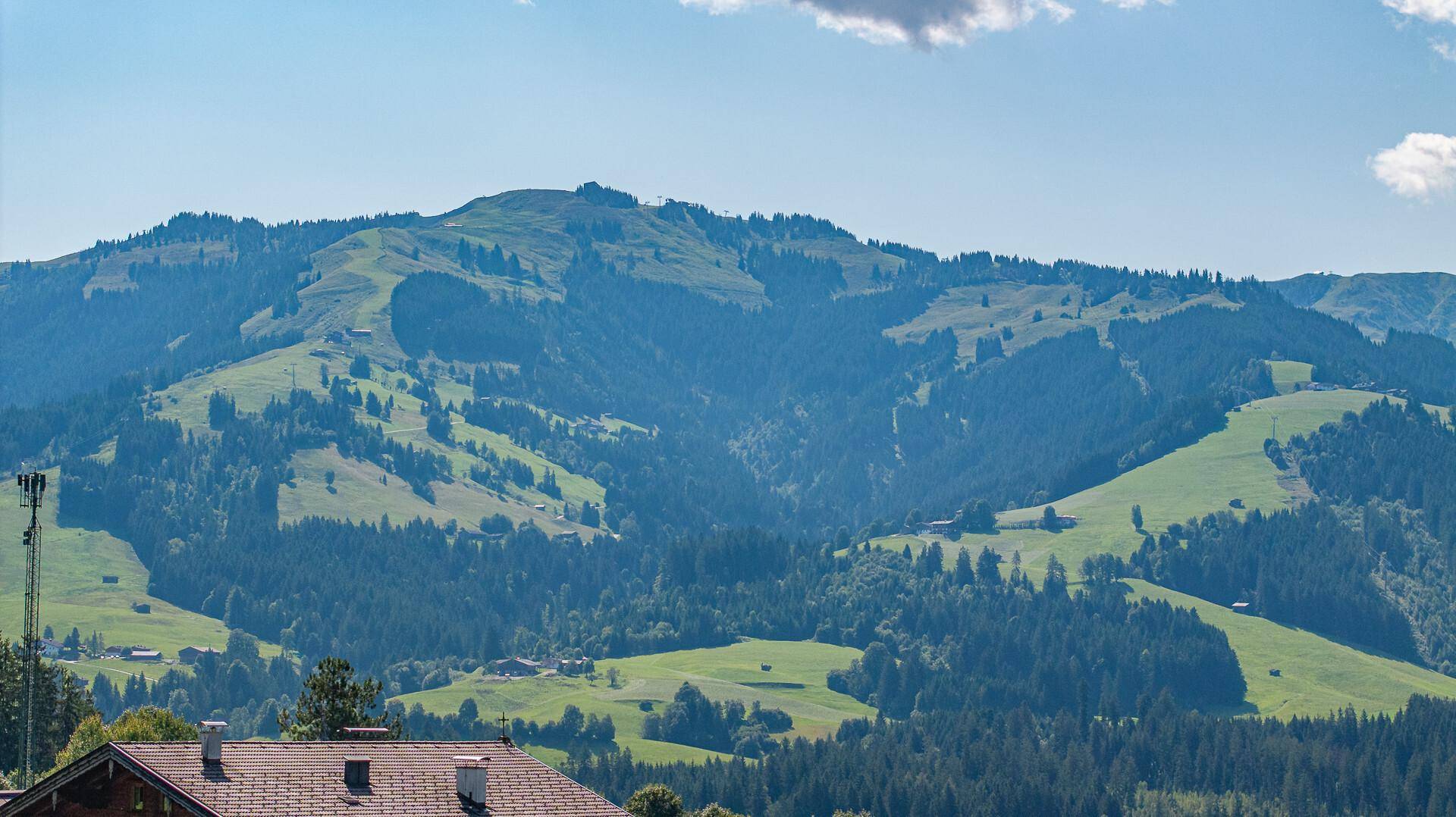 Weitläufige Berglandschaft mit sanften grünen Hügeln und dichten Wäldern unter einem klaren Himmel.