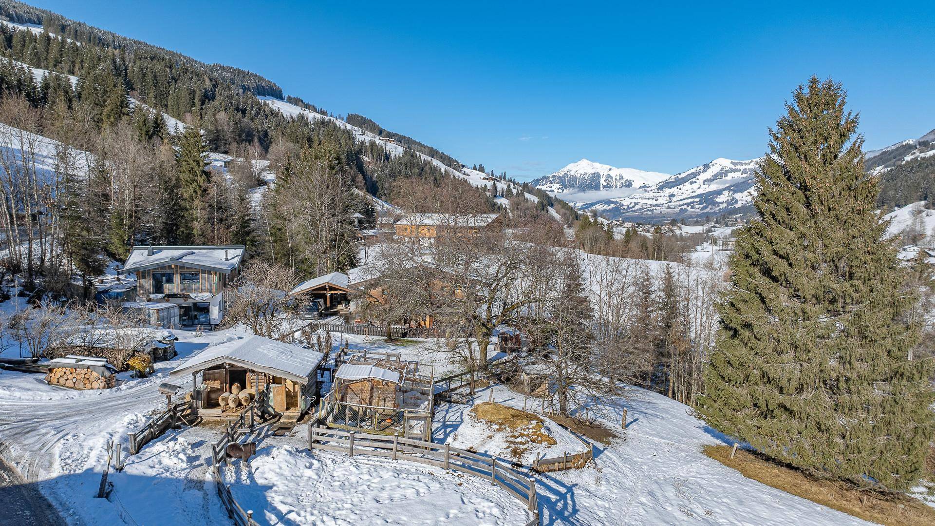 KITZIMMO-historischen Anwesen mit 3.800 m² Grund in Ruhelage - Immobilien Jochberg.