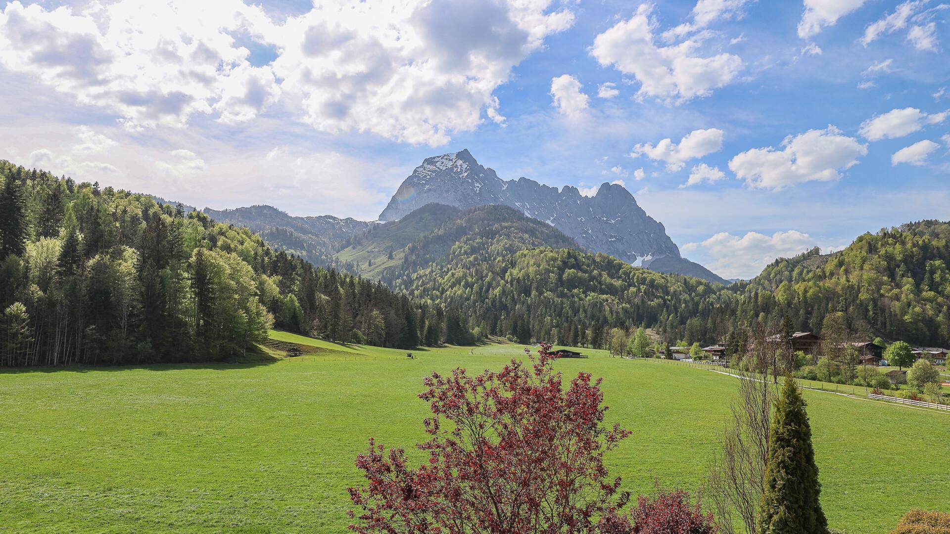 Idyllische Landschaft mit weiten grünen Feldern, dichten Wäldern und majestätischen Bergen im Hintergrund.