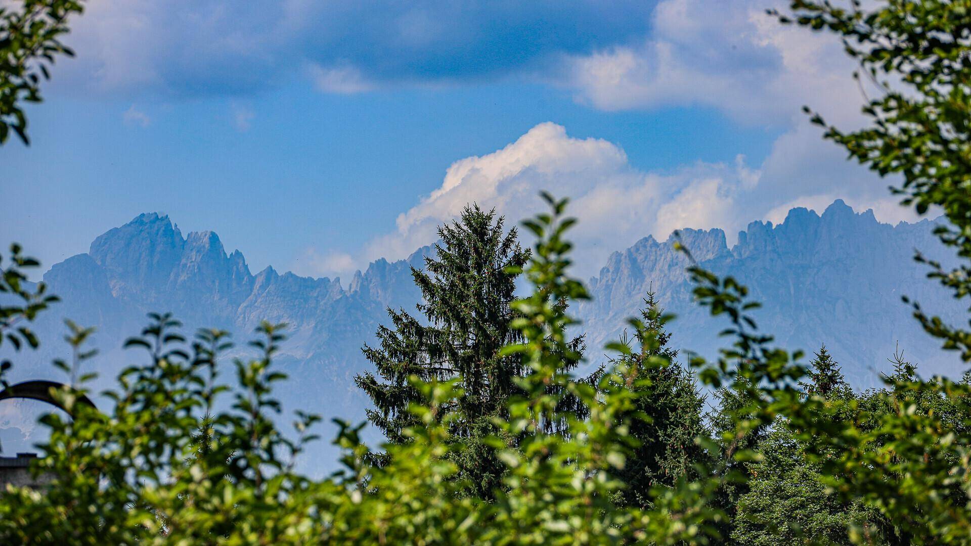 Atemberaubender Blick auf die majestätischen Berggipfel durch die Baumwipfel.