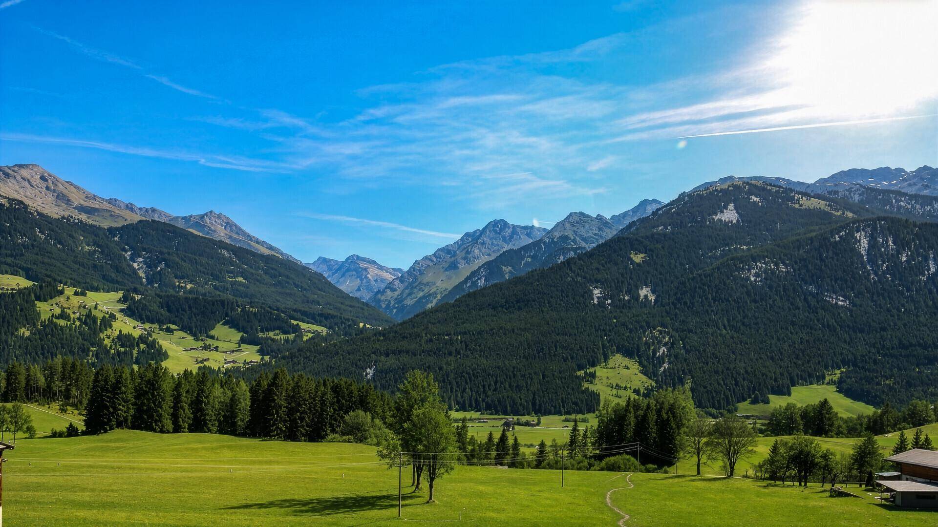 Weitläufiger Panoramablick auf ein grünes Bergtal mit Wäldern und Wiesen unter blauem Himmel.