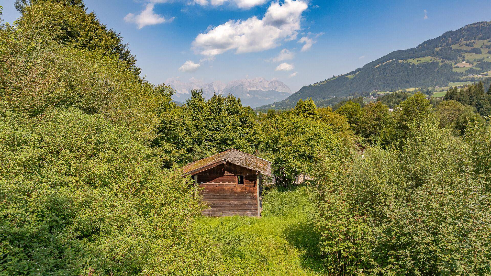 Kleiner Holzschuppen umgeben von üppigem Grün mit Bergblick im Hintergrund.