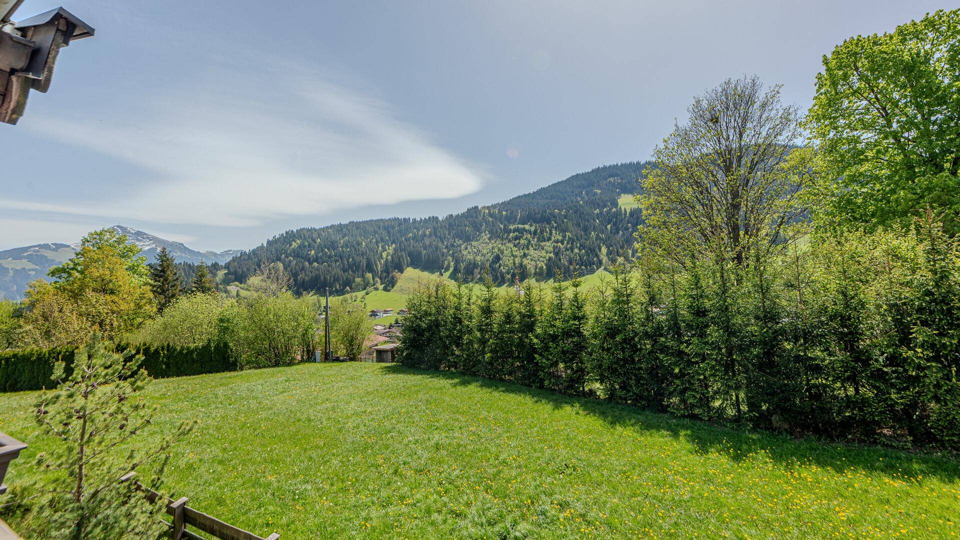 Weitläufige grüne Wiese mit Blick auf bewaldete Hügel und eine dichte Hecke im Vordergrund.
