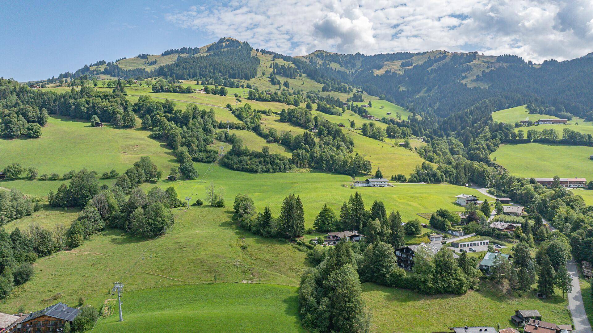 Idyllische Landschaft mit sanften grünen Hügeln, verstreuten Häusern und bewaldeten Bergen im Hintergrund.