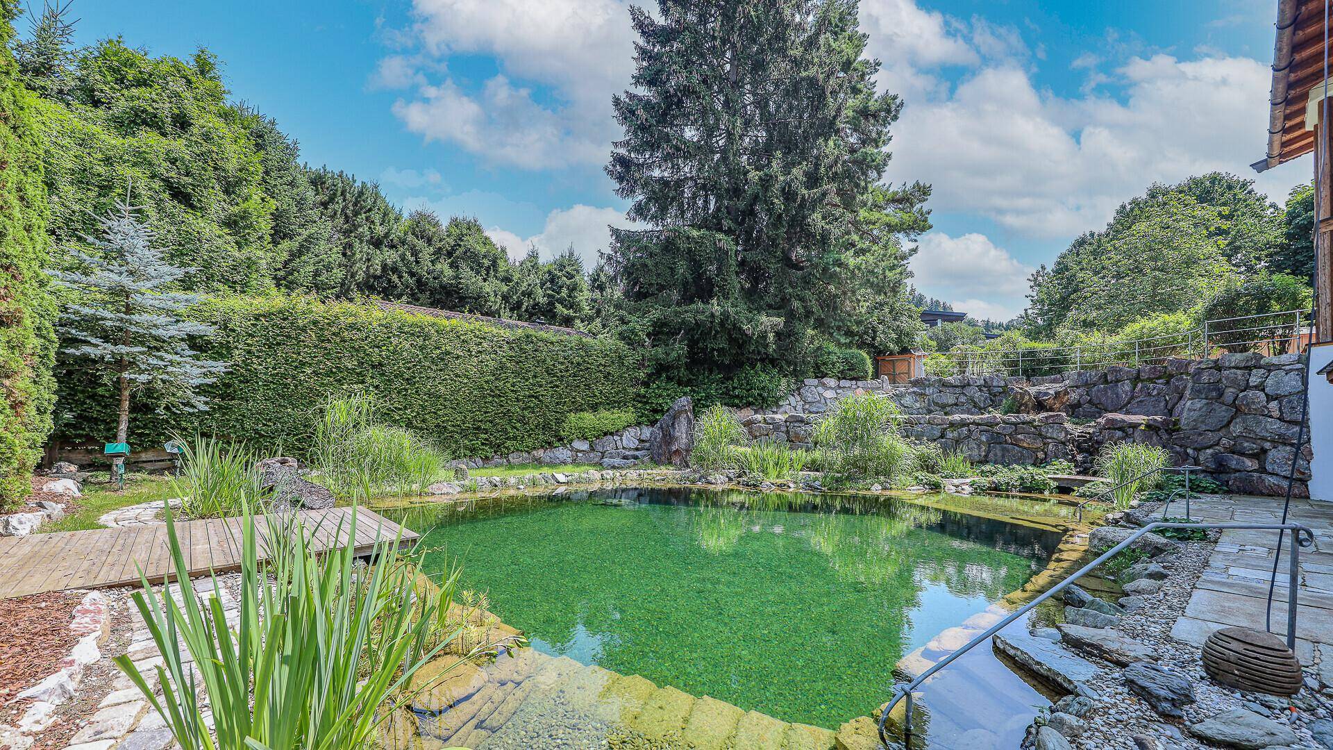 Idyllischer Naturschwimmteich im gepflegten Garten mit üppiger Bepflanzung.
