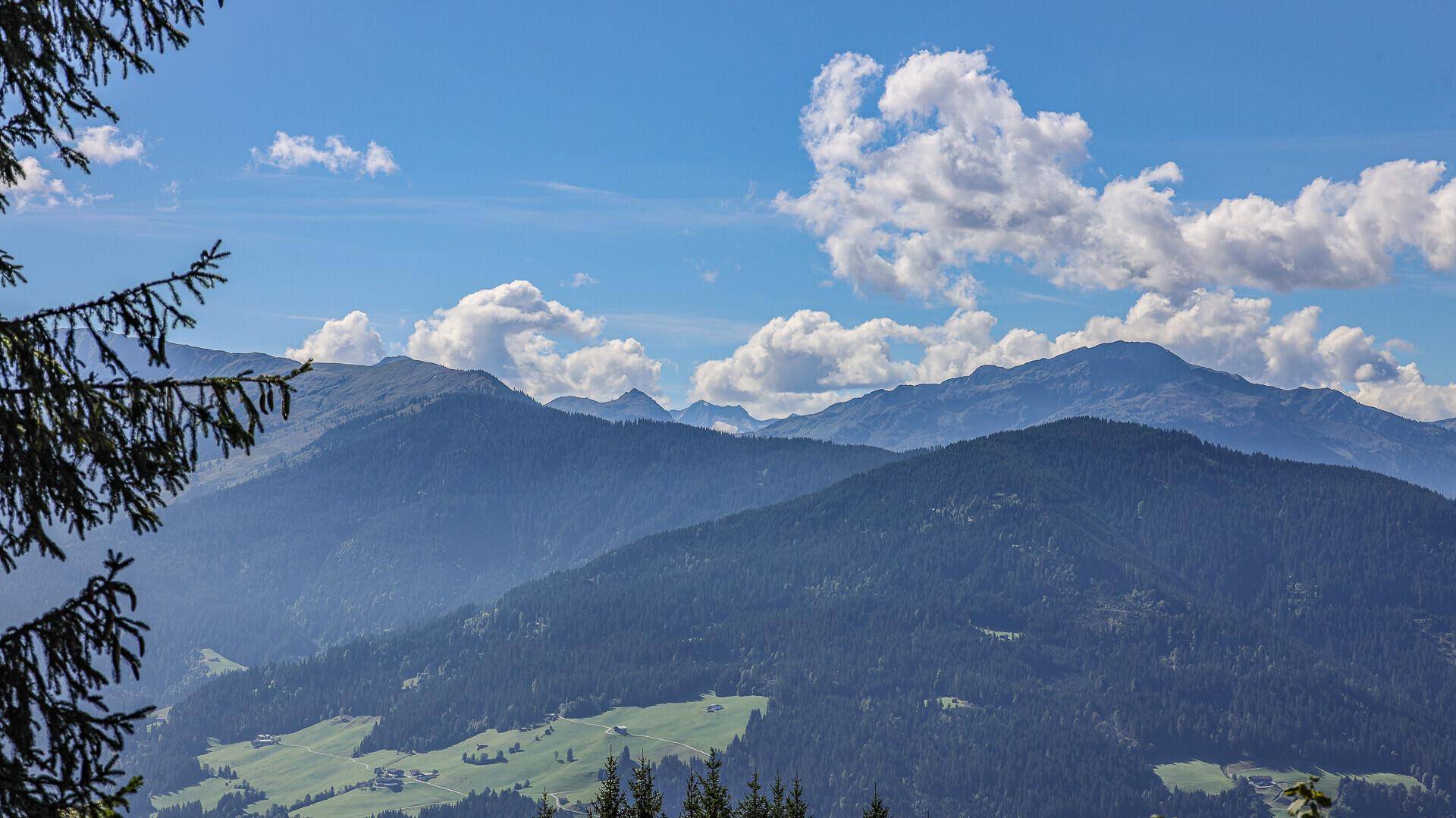 Weitläufiger Blick auf die alpine Landschaft mit bewaldeten Bergen und grünen Wiesen.