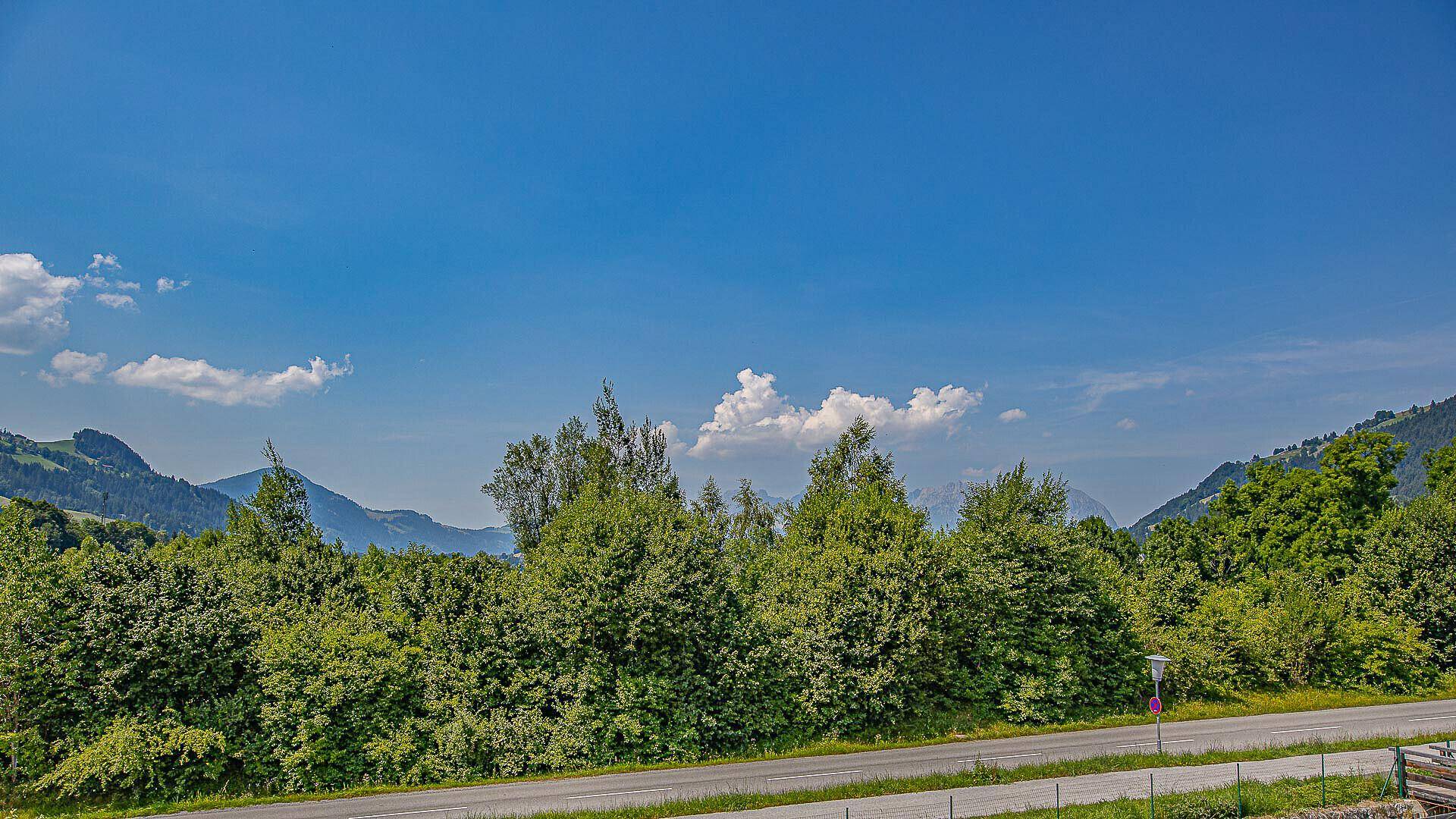 Weitläufige Landschaft mit grünen Bäumen und Bergen unter blauem Himmel.