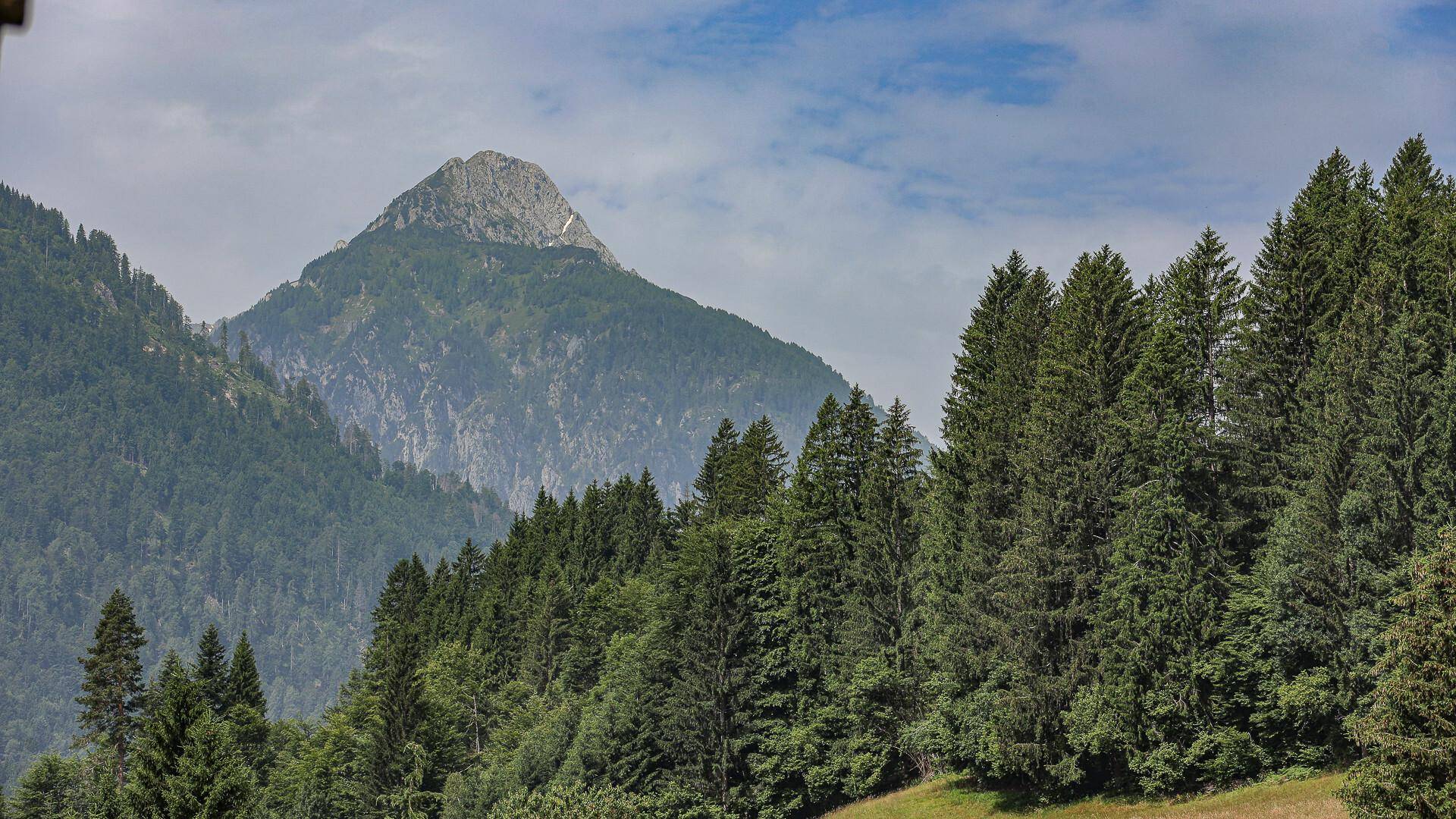 Majestätischer Berggipfel umgeben von dichten grünen Wäldern unter einem leicht bewölkten Himmel.