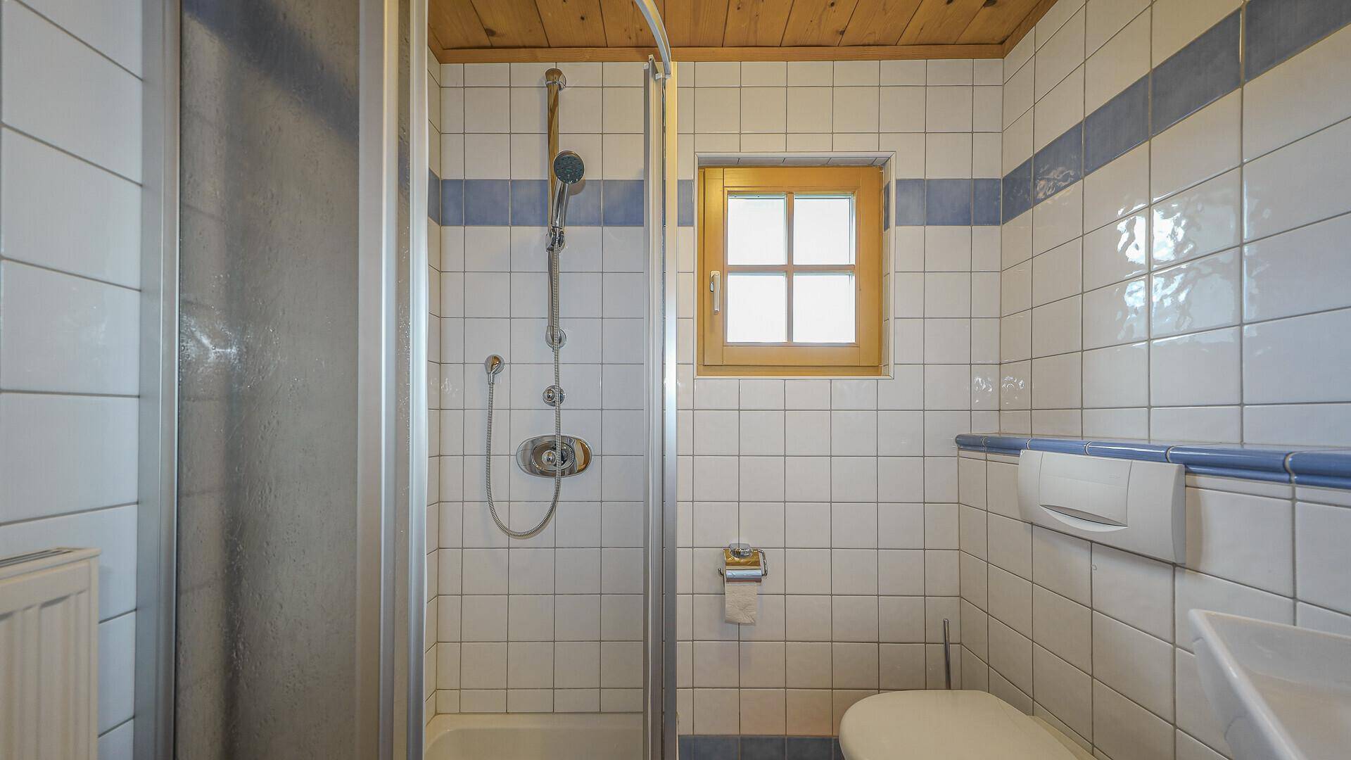 Funktionales Badezimmer mit Dusche, WC und Fenster, gefliest in Weiß und Blau.