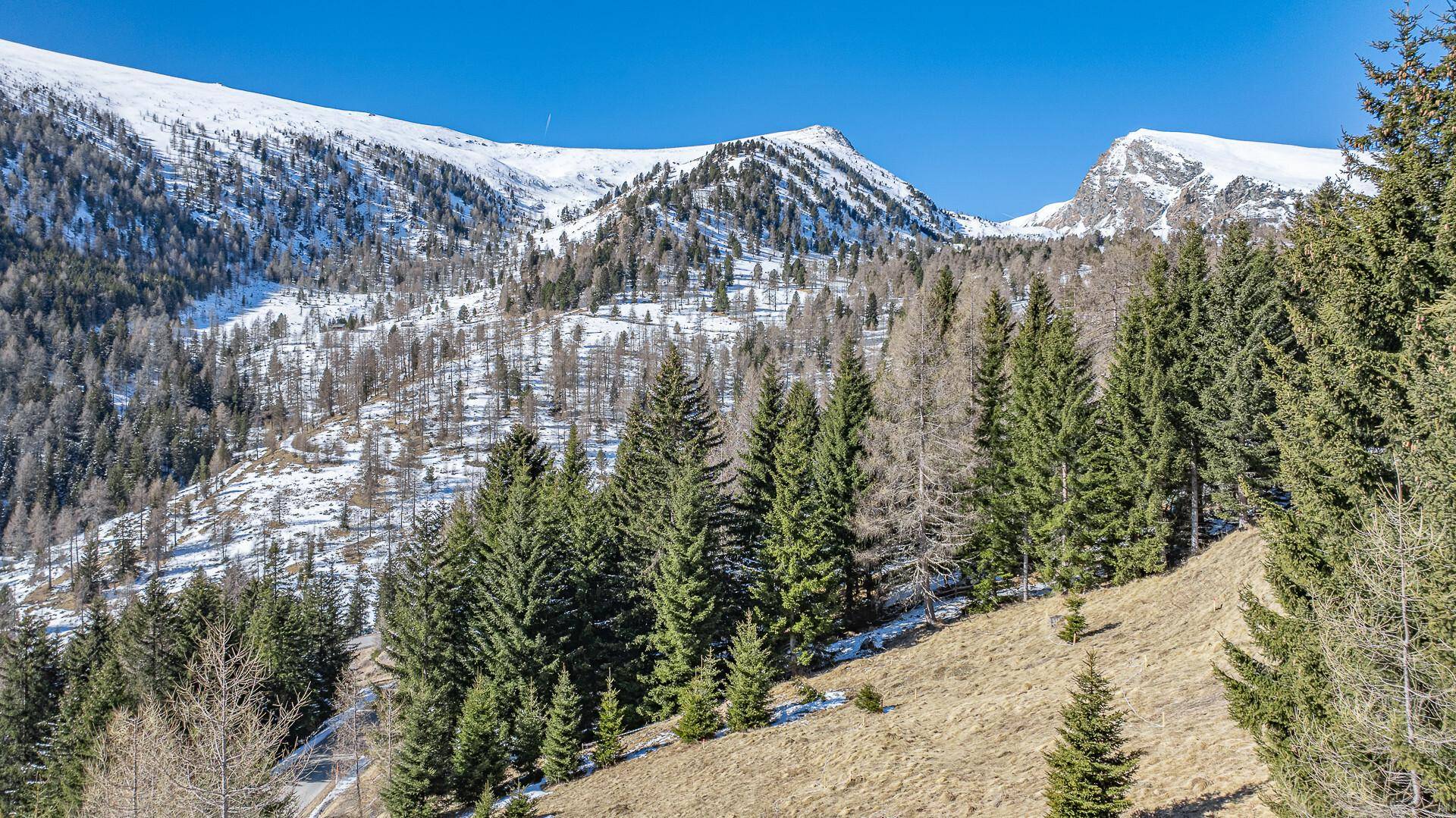 Dichte Nadelwälder bedecken die Hänge, während schneebedeckte Berggipfel majestätisch in der Ferne aufragen.