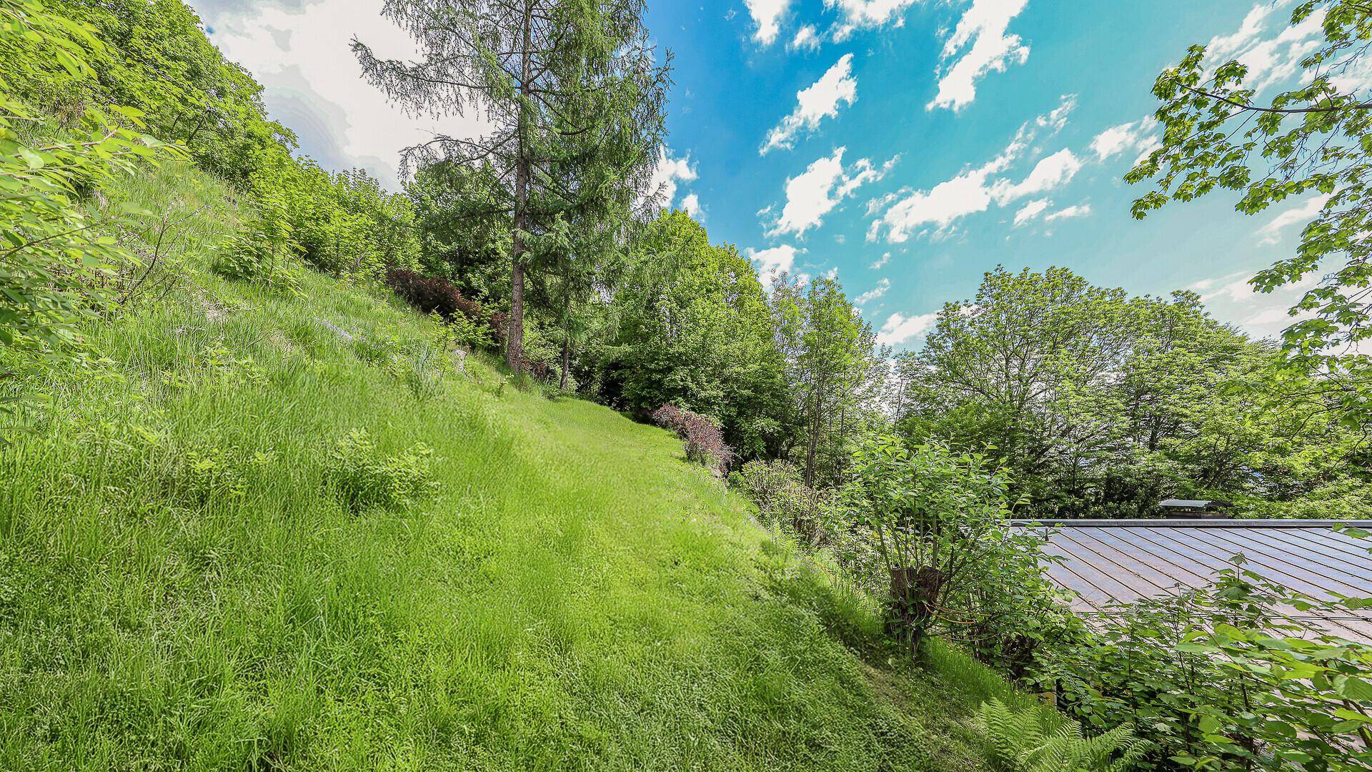 Grüne Hanglage mit üppiger Vegetation und Bäumen unter einem bewölkten Himmel.
