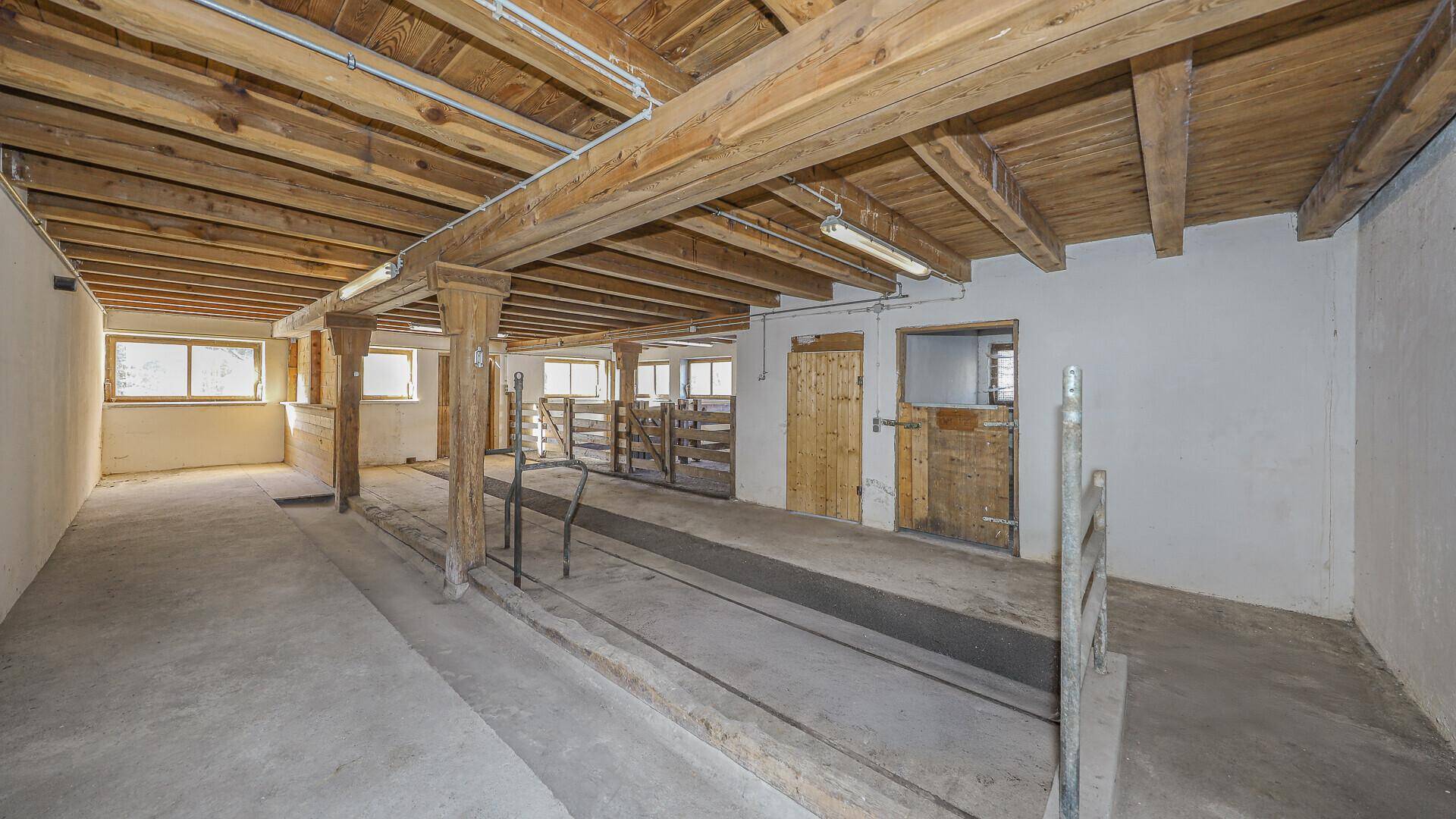 Geräumiger Nutzraum mit sichtbaren Holzdeckenbalken und Betonboden, ideal für Lagerung oder Werkstatt.