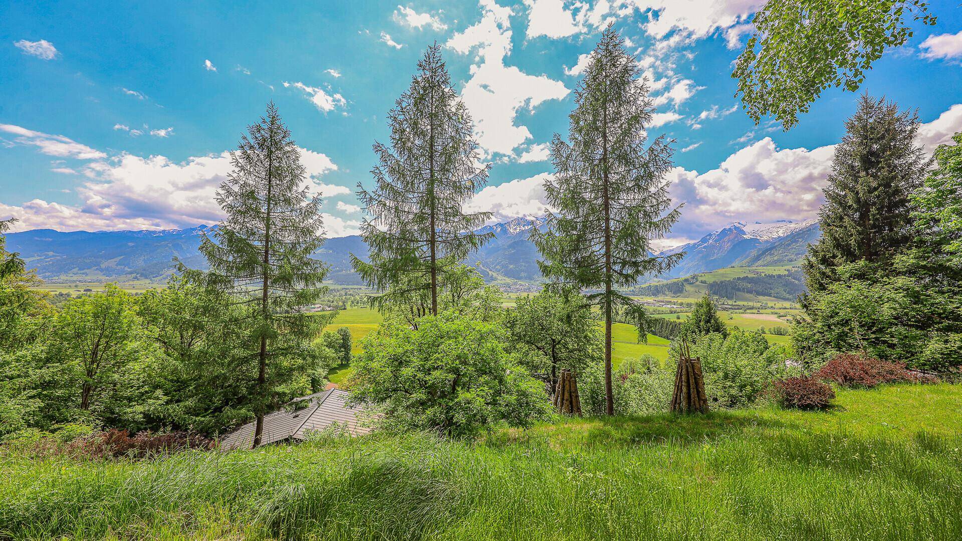 Malerische Landschaft mit grünen Wiesen, hohen Bäumen und schneebedeckten Bergen im Hintergrund.