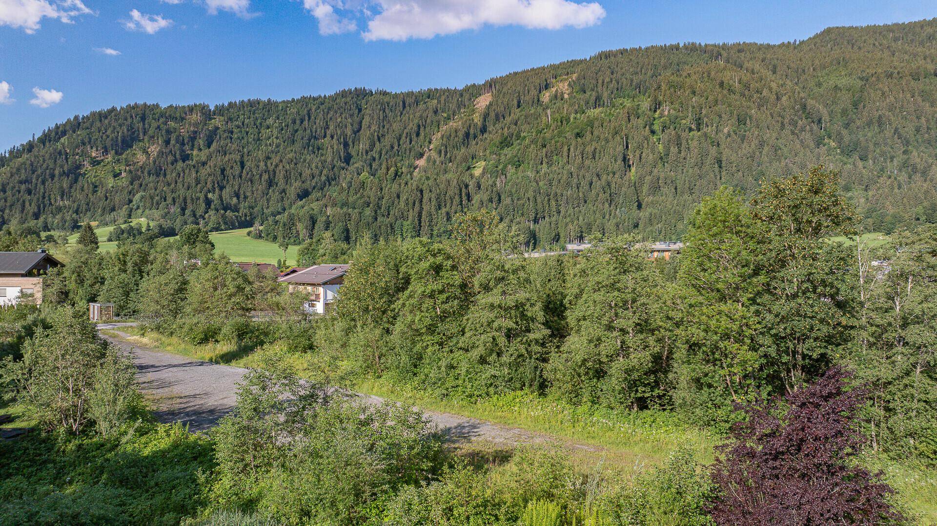 Weitblick vom Grundstück auf den dicht bewaldeten Berghang und die üppige grüne Landschaft.