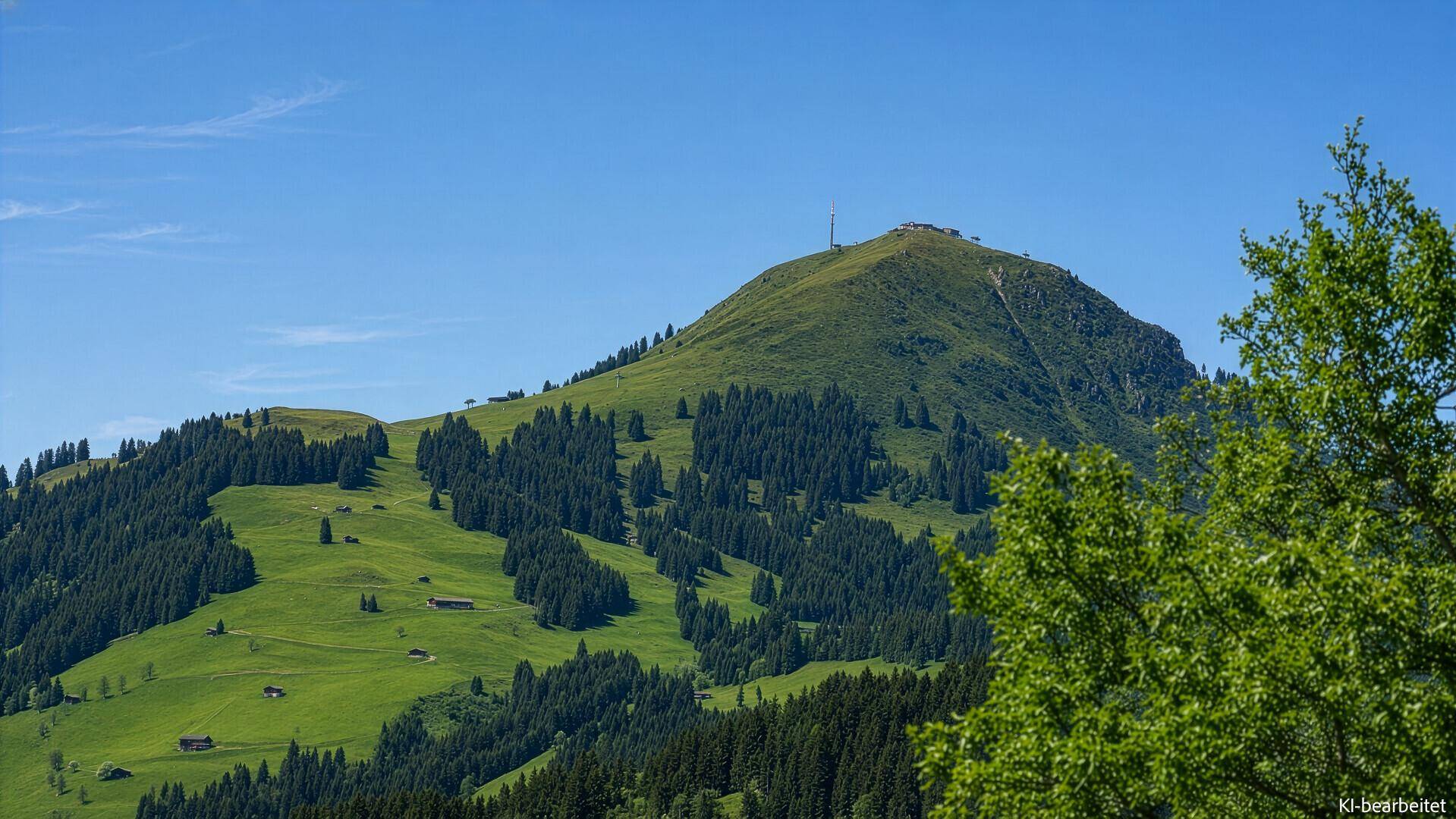 Weitläufiger Blick auf einen grünen Berg mit Nadelbäumen unter blauem Himmel.