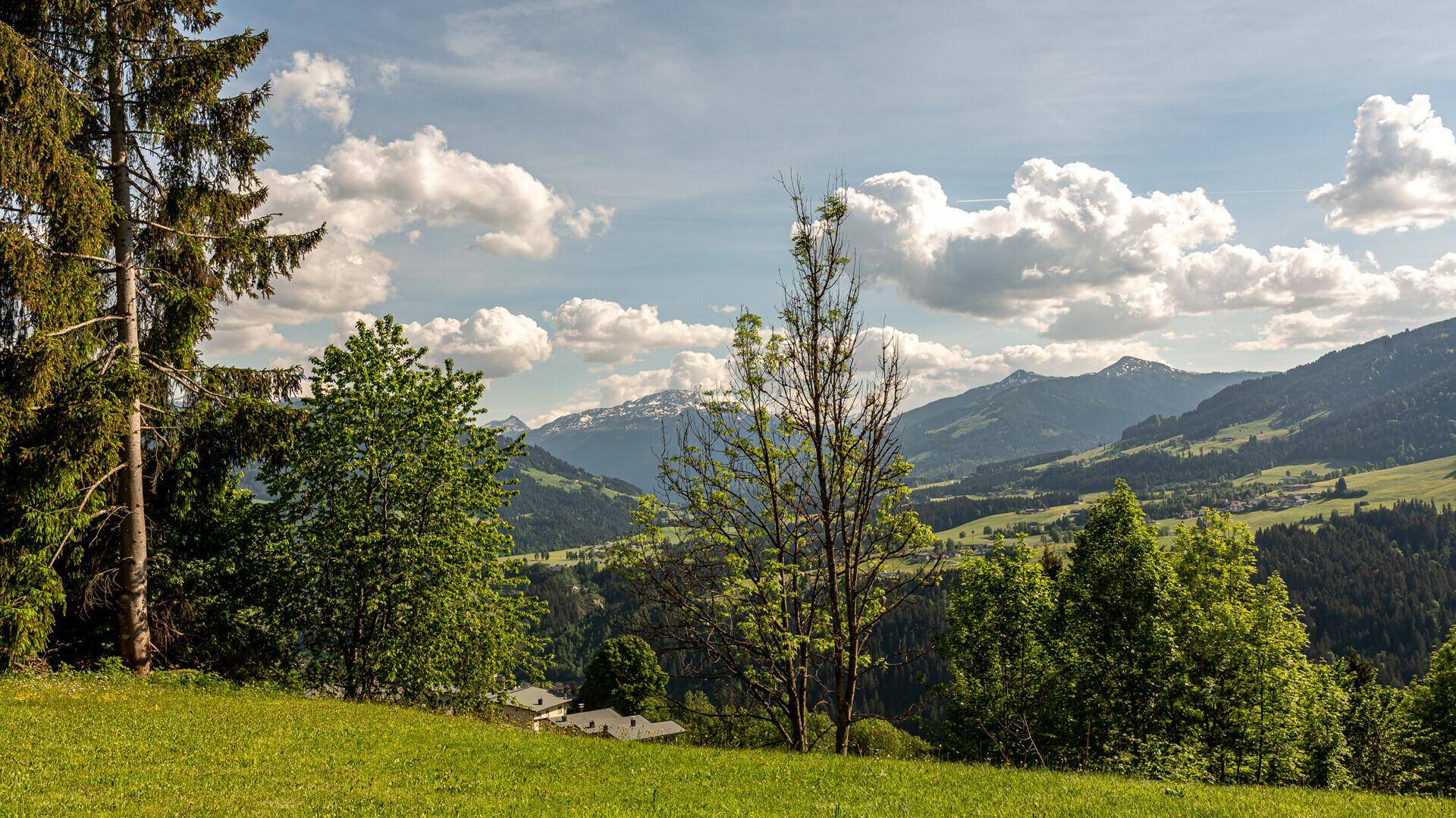 Weitläufige Berglandschaft mit grünen Wiesen und bewaldeten Hängen unter einem sonnigen Himmel.