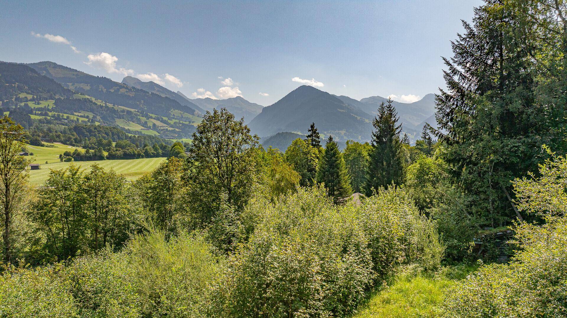Dichte grüne Vegetation mit Bäumen und Sträuchern, dahinter erheben sich majestätische Berge.