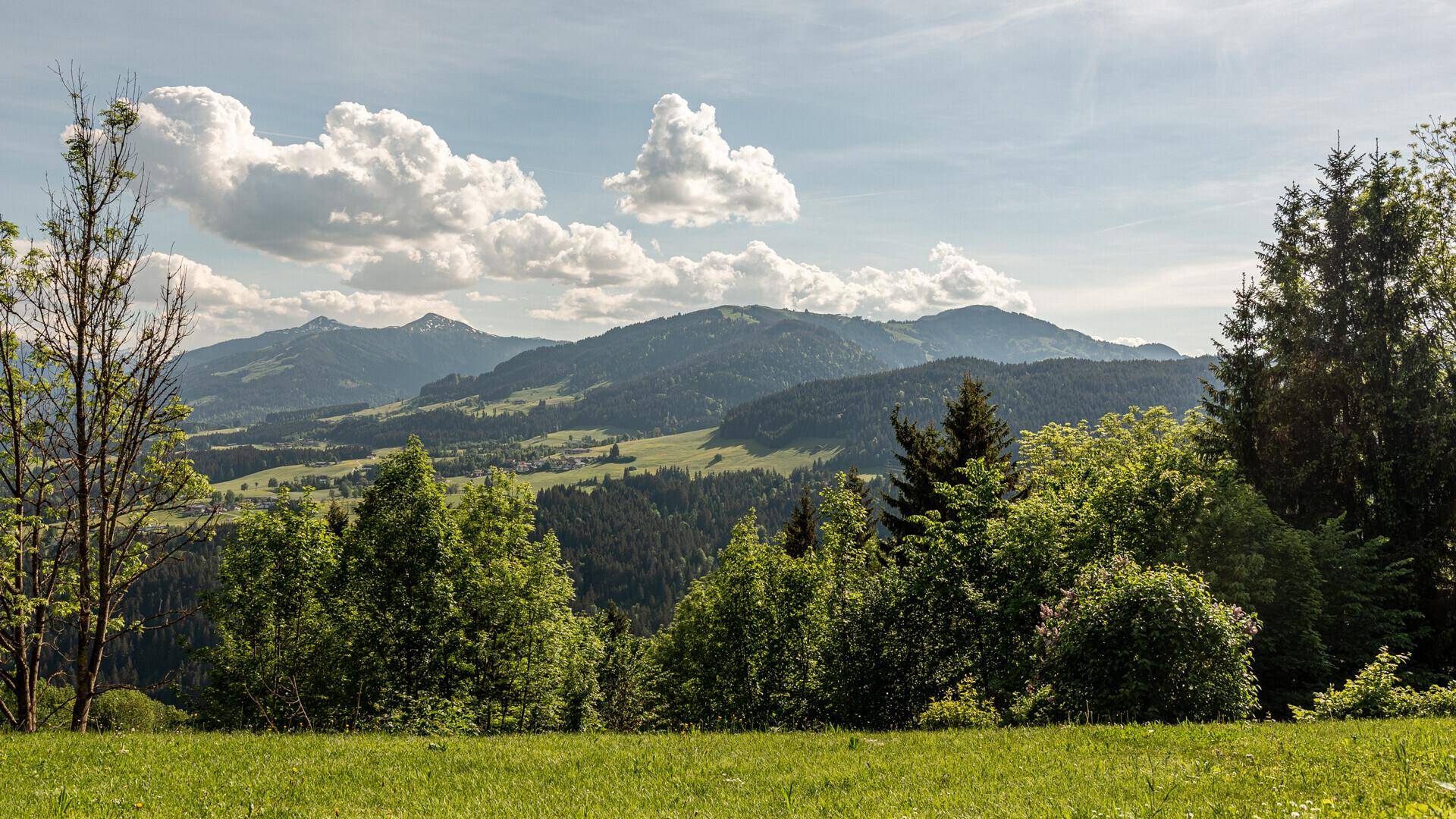 Idyllische Berglandschaft mit grünen Wiesen und bewaldeten Hügeln unter einem bewölkten Himmel.