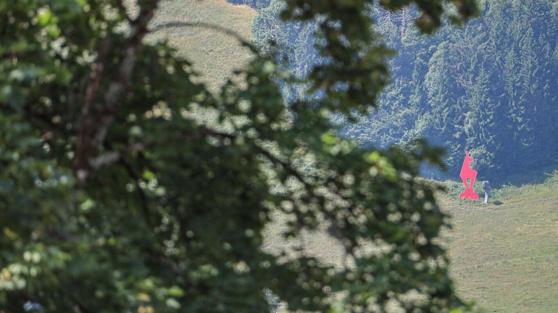 Grüne Hügellandschaft mit Wald und einem markanten roten Kunstwerk in der Ferne.