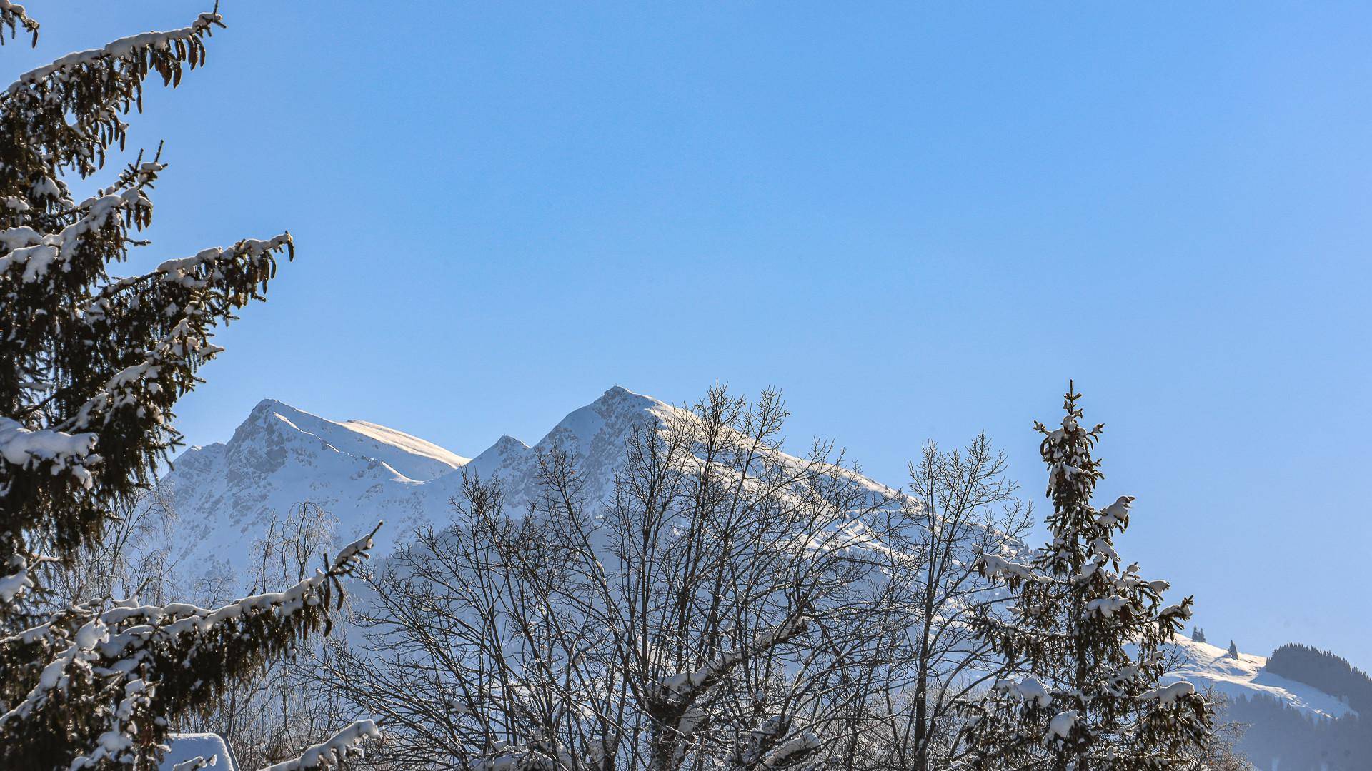 KITZIMMO-Exklusiver Freizeitwohnsitz am Sonnberg mit Panoramablick kaufen - Immobilien Kitzbühel.