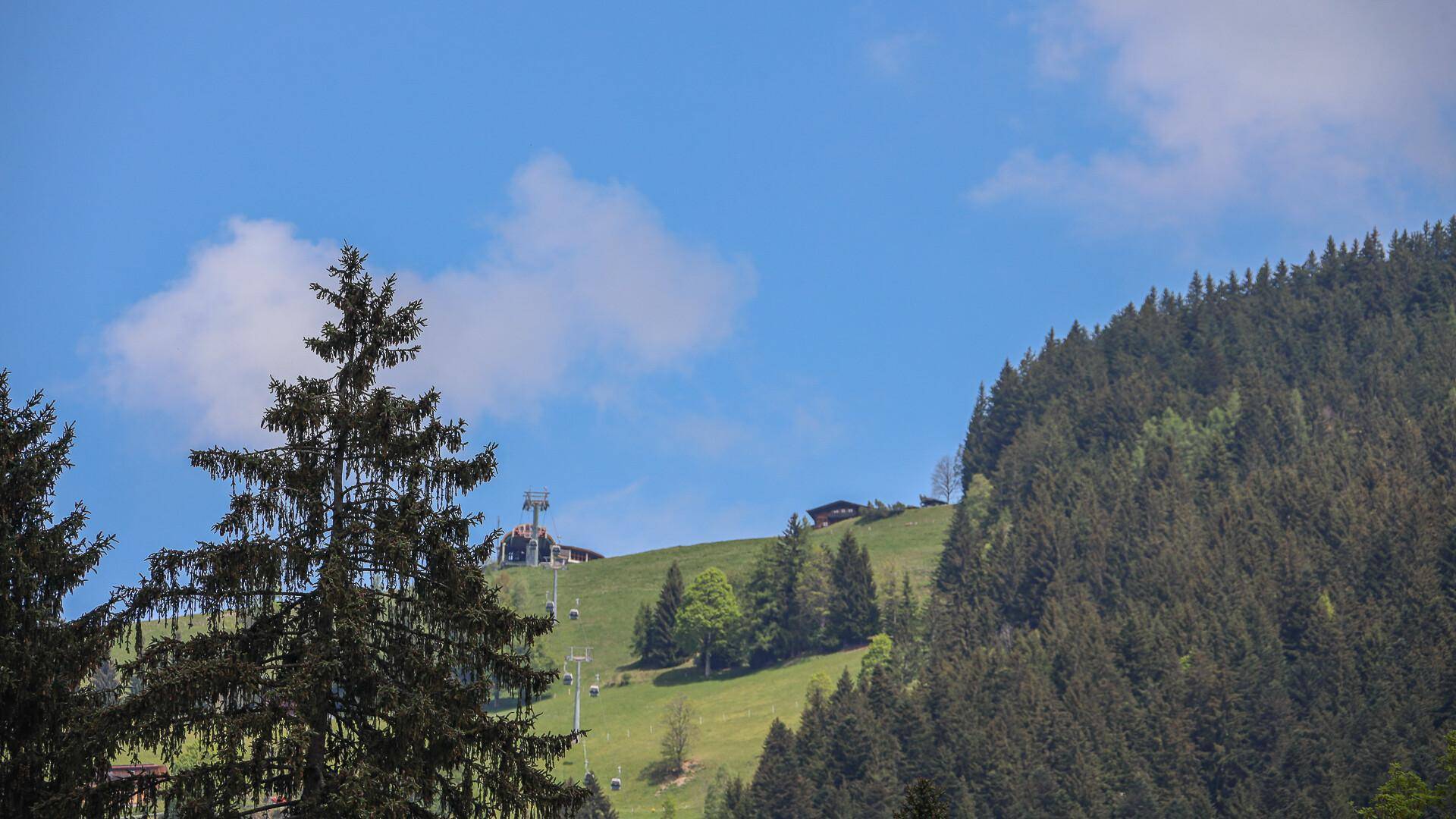 Grüne Berglandschaft mit bewaldeten Hängen und einem Skilift in der Ferne unter blauem Himmel.