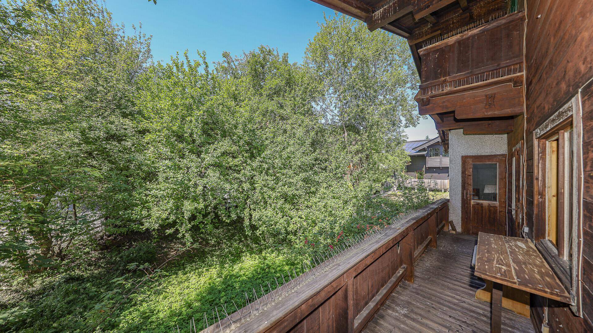 Blick vom Holzbalkon in eine grüne Umgebung mit dichtem Baumbestand und viel Natur.