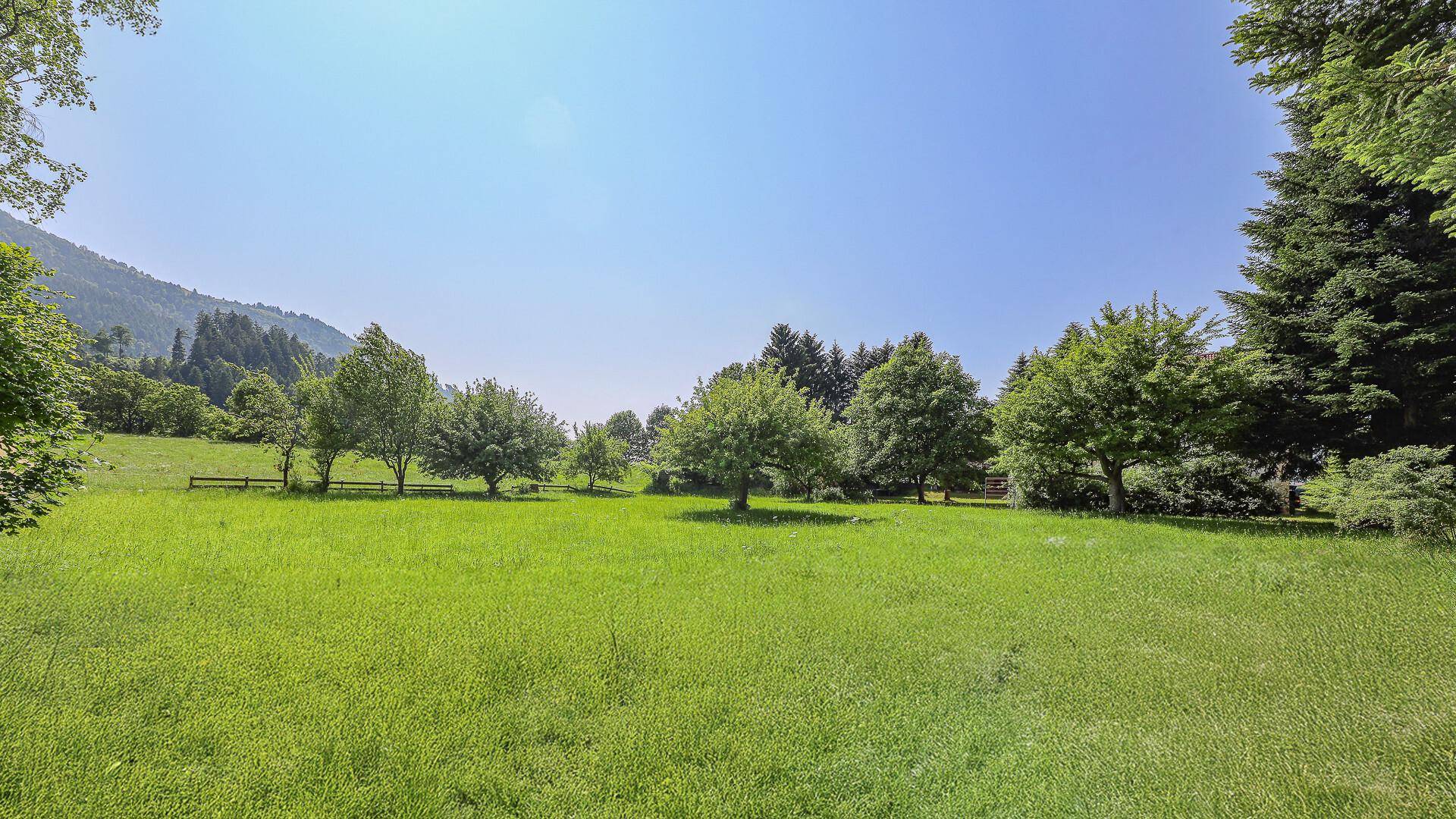 Malerische Landschaft mit weiten grünen Wiesen, Bäumen und sanften Hügeln am Horizont.