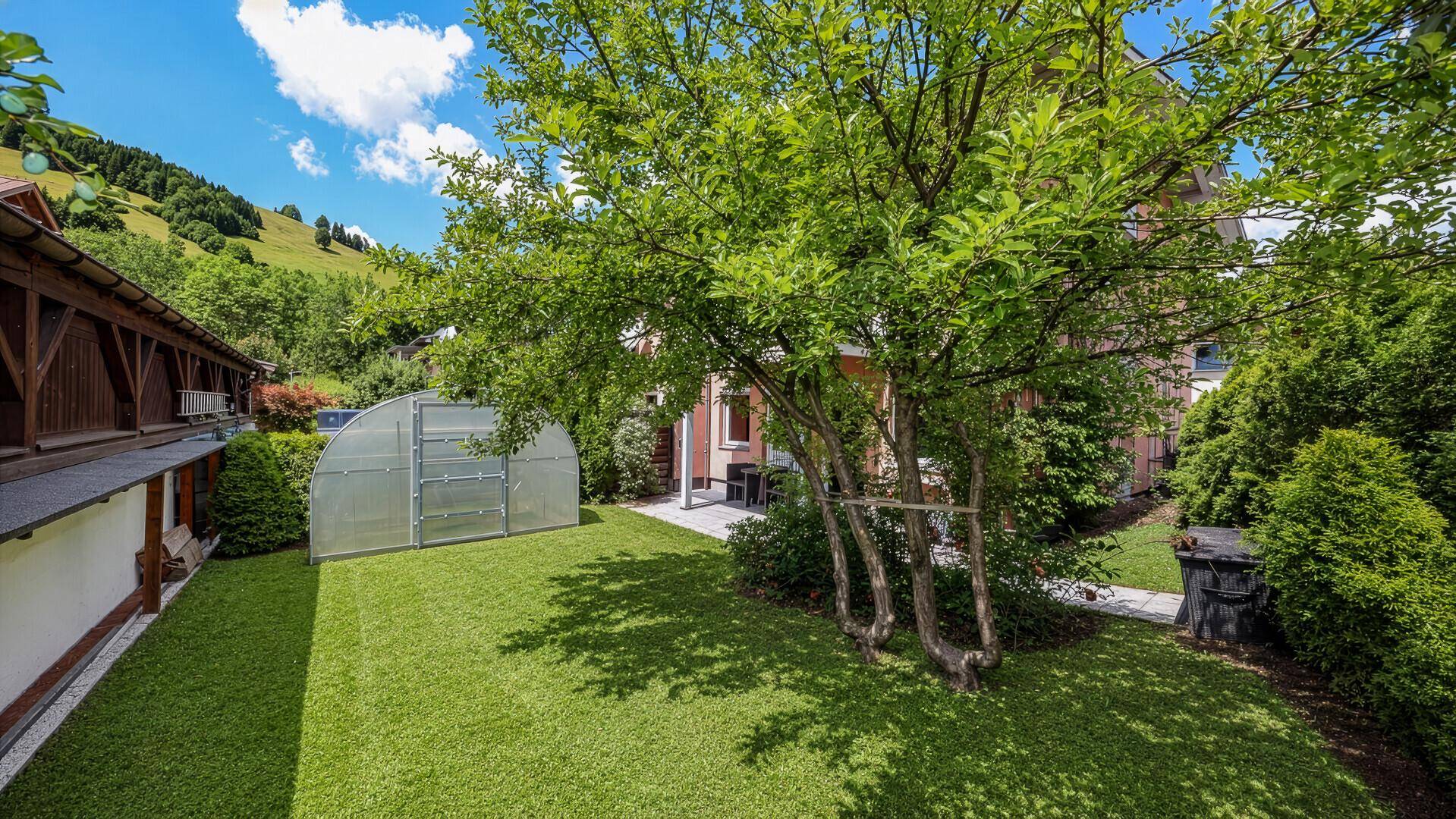 Großer Gartenbereich mit Rasenfläche, altem Baum und einem kleinen Gewächshaus.