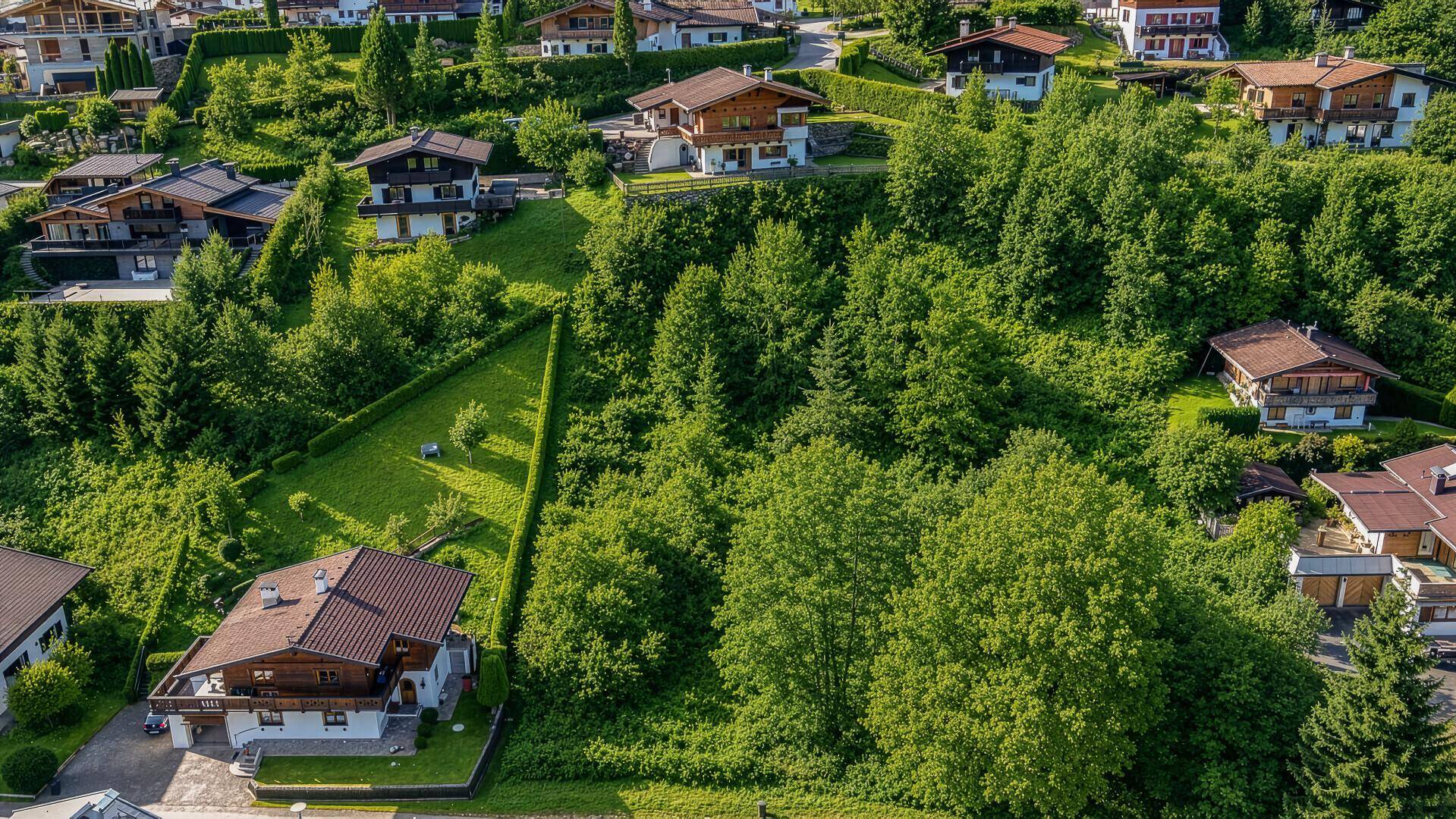 Weitläufige Luftaufnahme eines bewachsenen Grundstücks mit umliegenden Häusern am Hang.