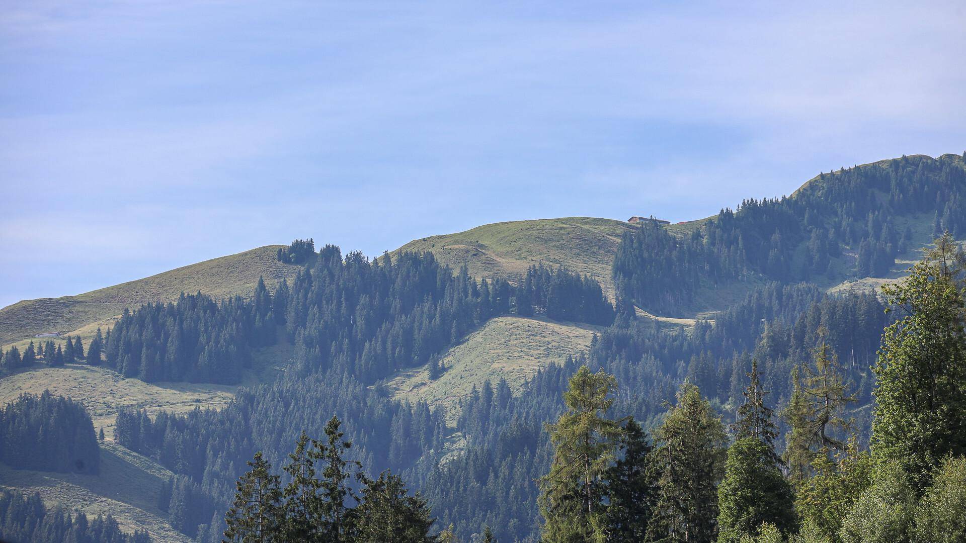 KITZIMMO-Hochwertige Eigentumswohnung kaufen - Immobilien Kitzbühel.