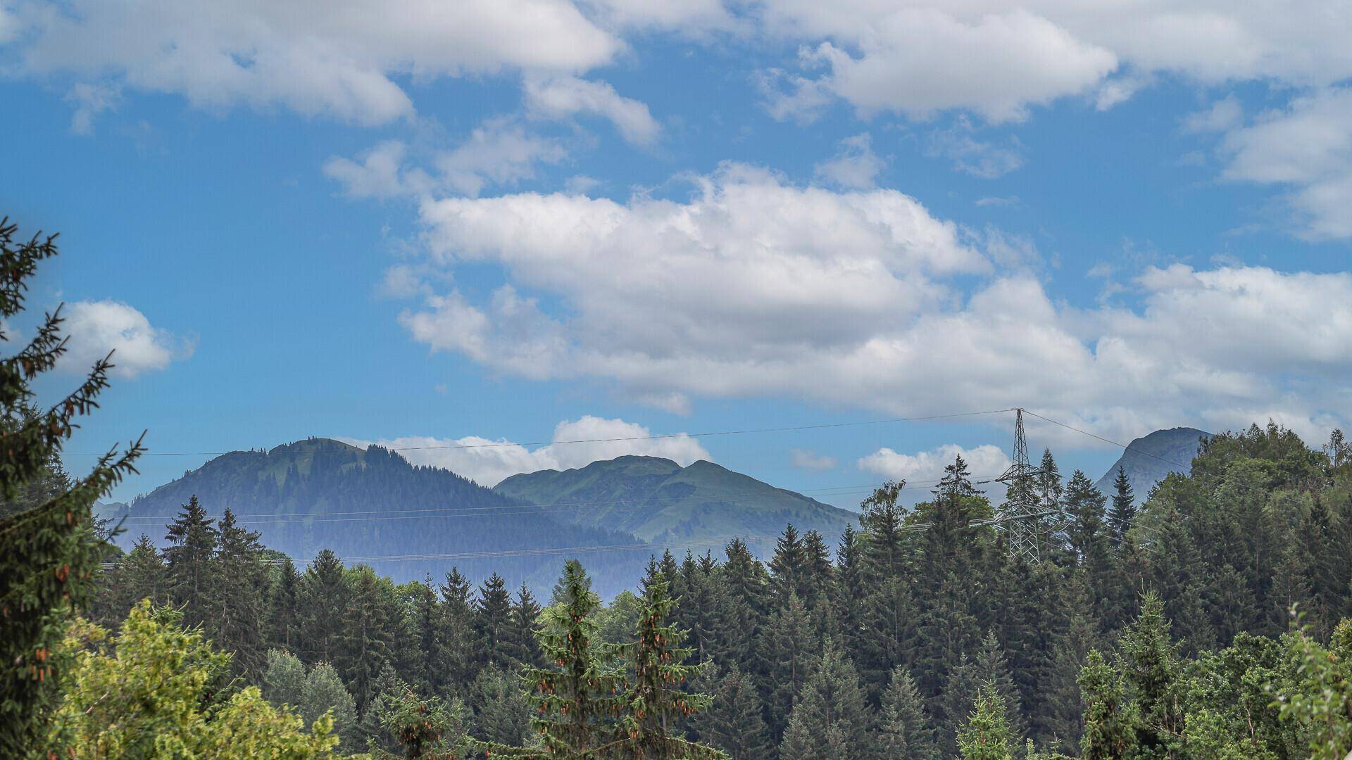 Weitläufiger Blick über grüne Wälder und sanfte Hügel bis zu den fernen Bergen.