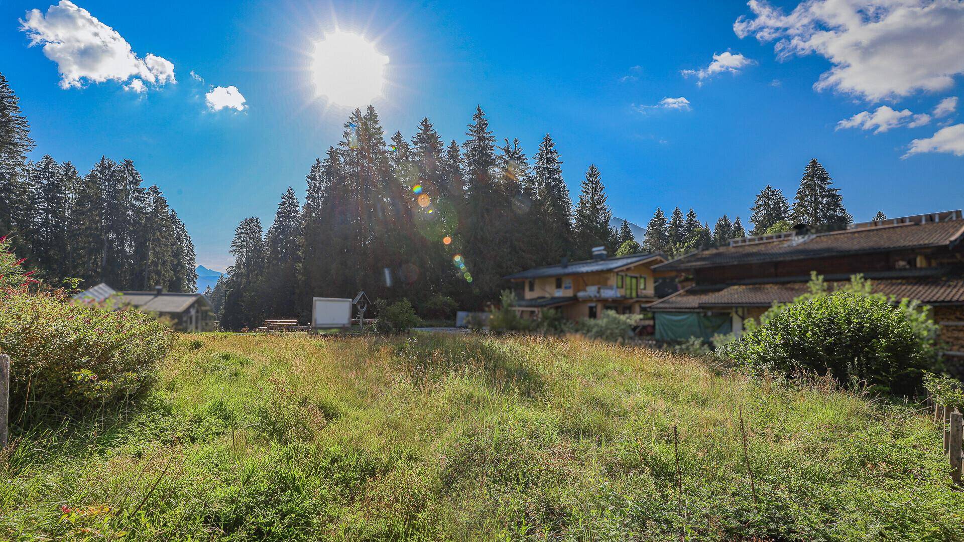 Sonnige Wiese mit hohem Gras und Bäumen, umgeben von ländlicher Bebauung und blauem Himmel.