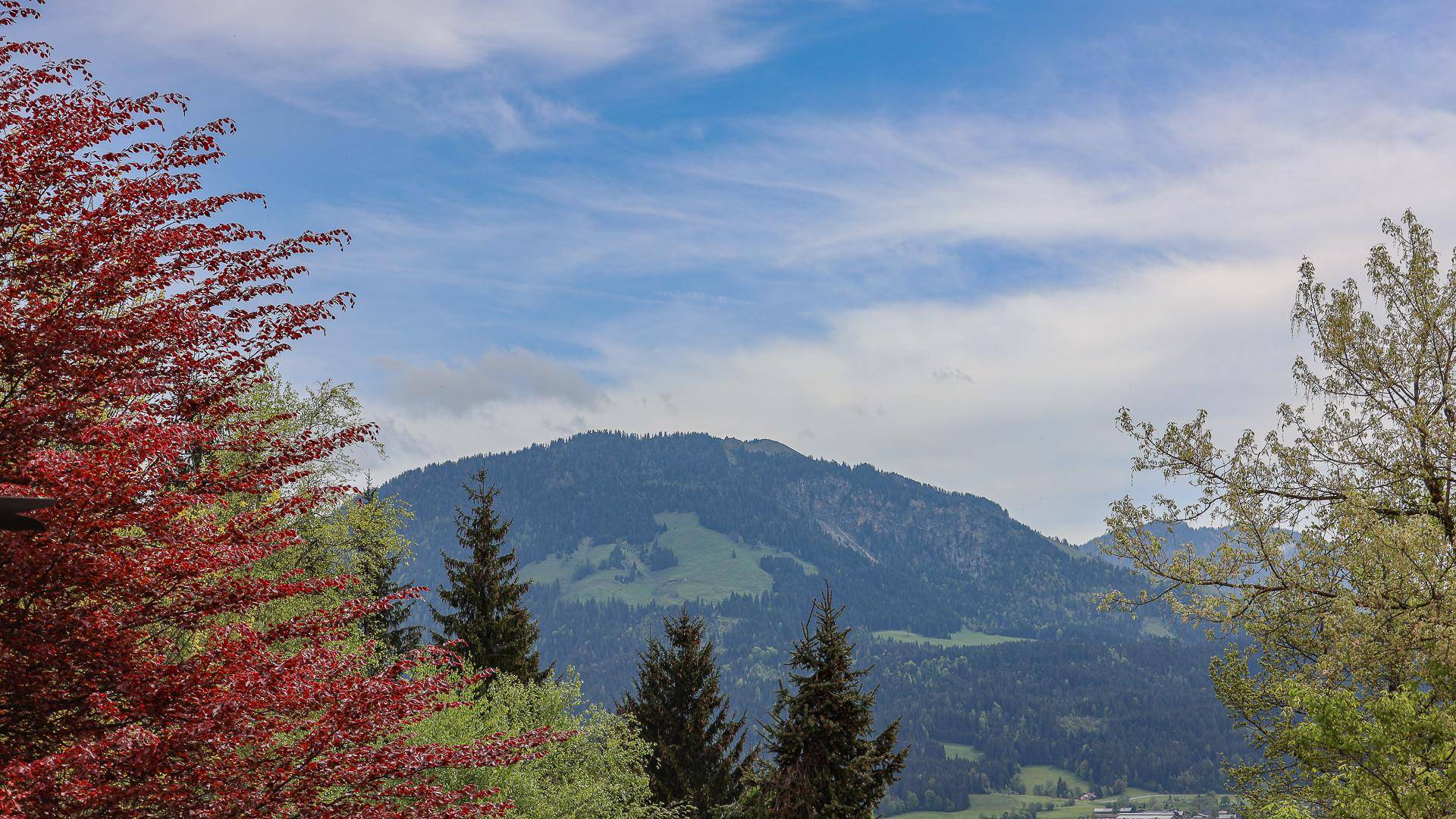 KITZIMMO-Anwesen in Toplage kaufen - Immobilien St. Johann Tirol.