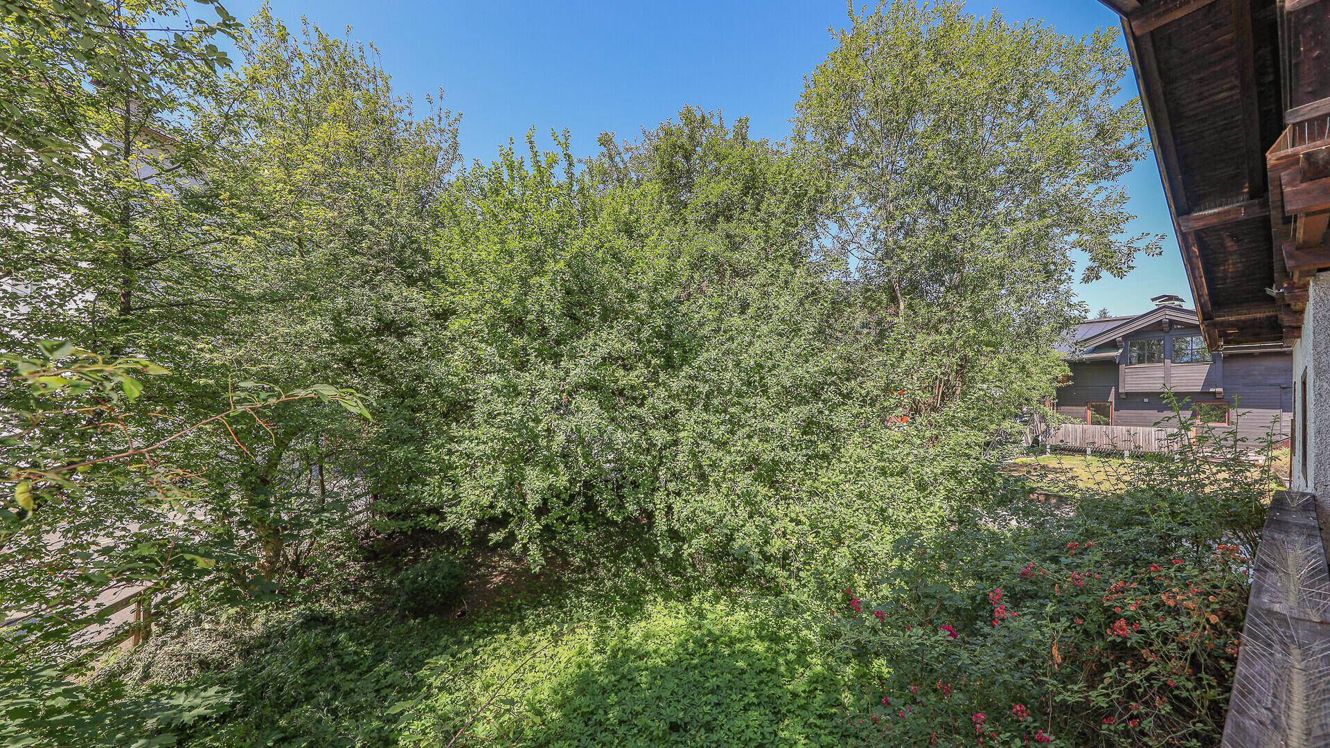 Blick vom Holzbalkon auf die dichte Vegetation und die umliegende grüne Landschaft.
