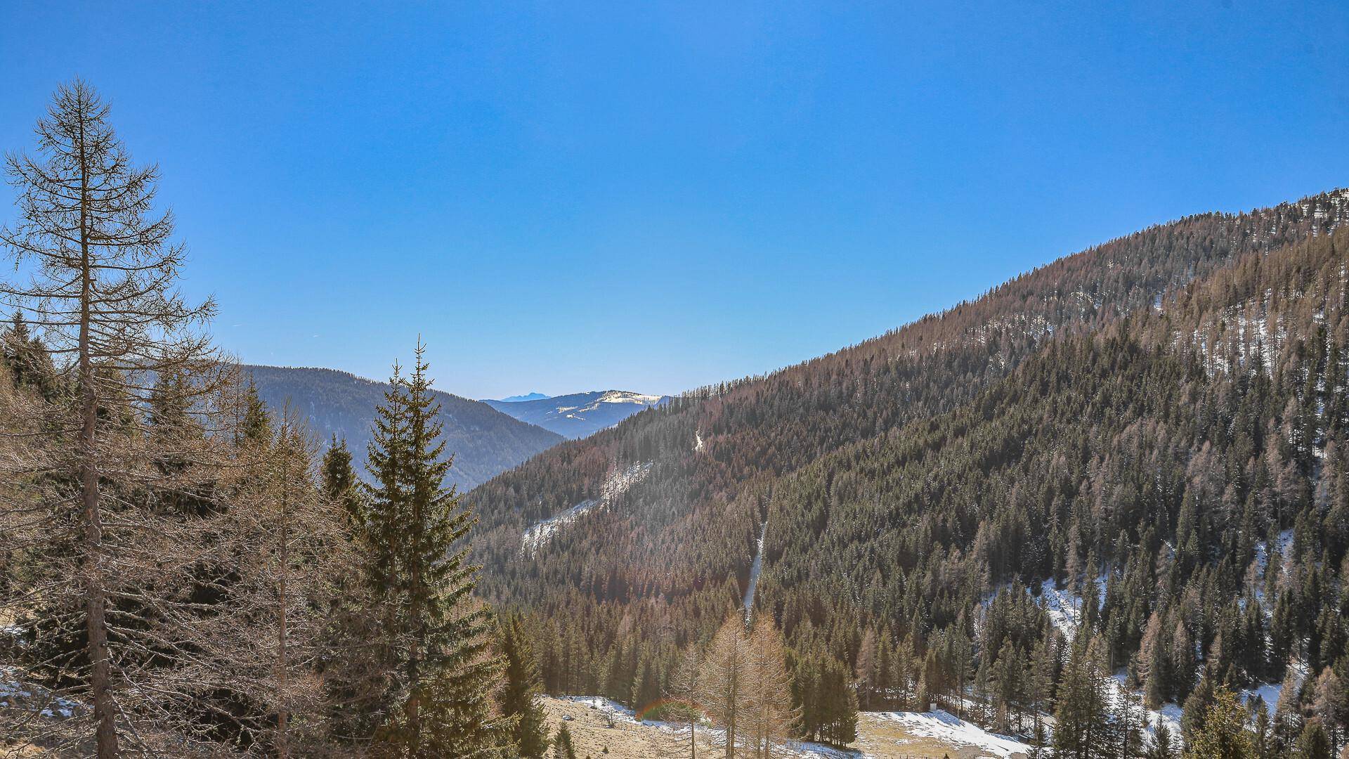 Weitläufiger Blick in ein bewaldetes Tal mit vereinzelten Schneeflächen und klarem Himmel.