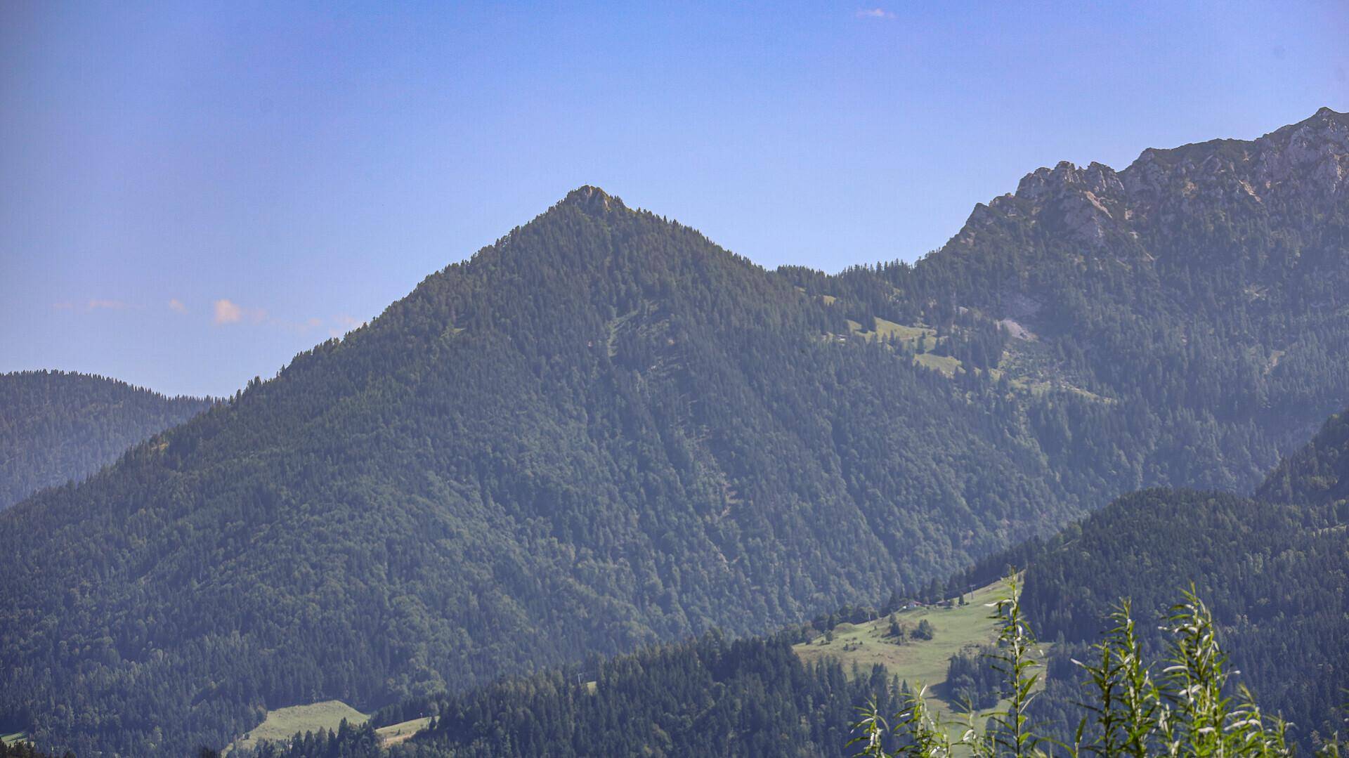 Bewaldeter Berggipfel unter strahlend blauem Himmel, Teil einer weitläufigen Naturlandschaft.