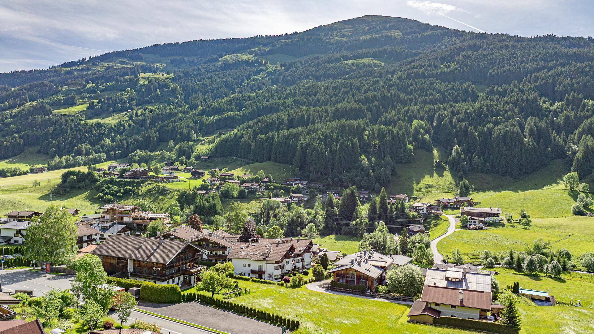 Weitläufiger Panoramablick über ein grünes Tal mit Wäldern und einem majestätischen Berg unter blauem Himmel.