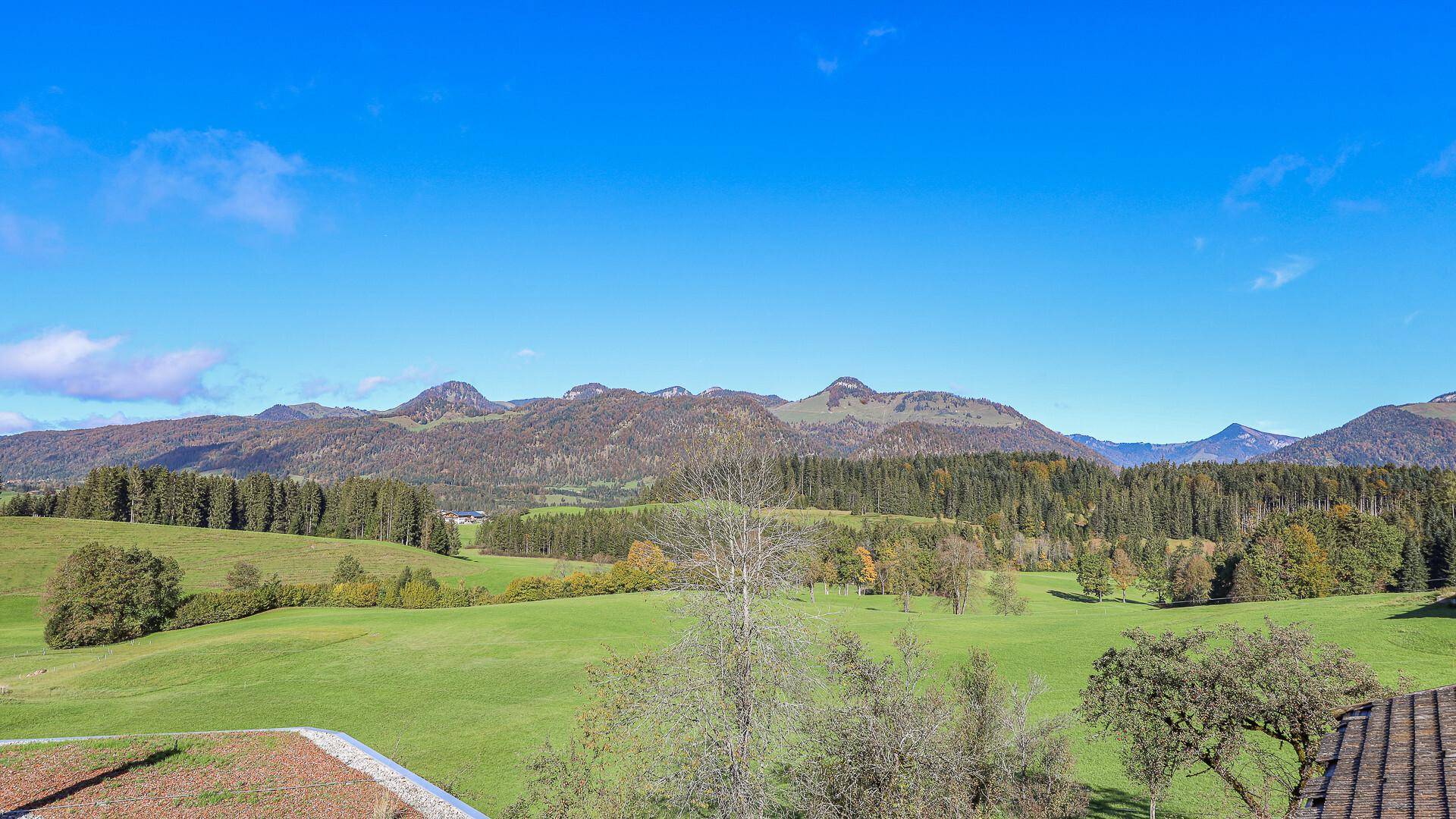 Malerische Berglandschaft mit grünen Wiesen und Wäldern unter blauem Himmel.