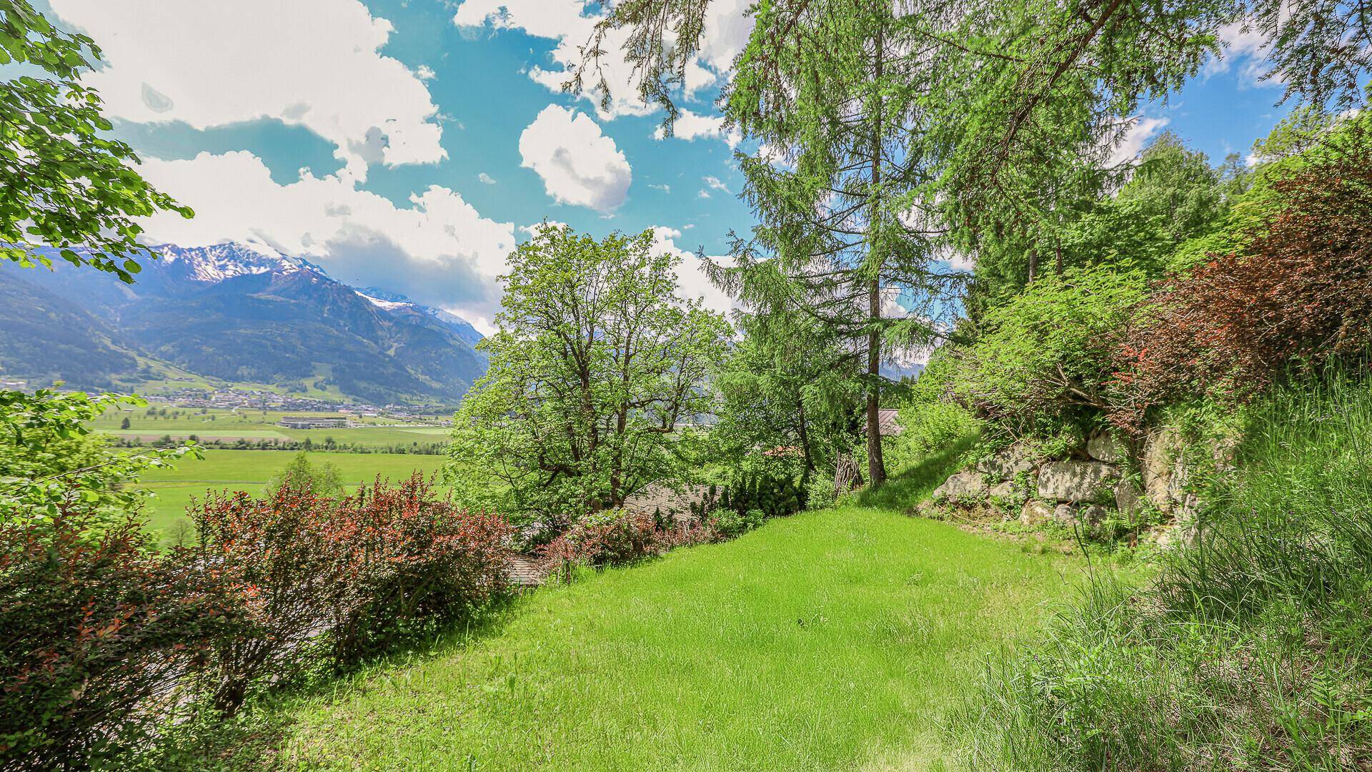 Sonniger Gartenbereich mit grüner Wiese, Sträuchern und Blick auf die fernen Berge.