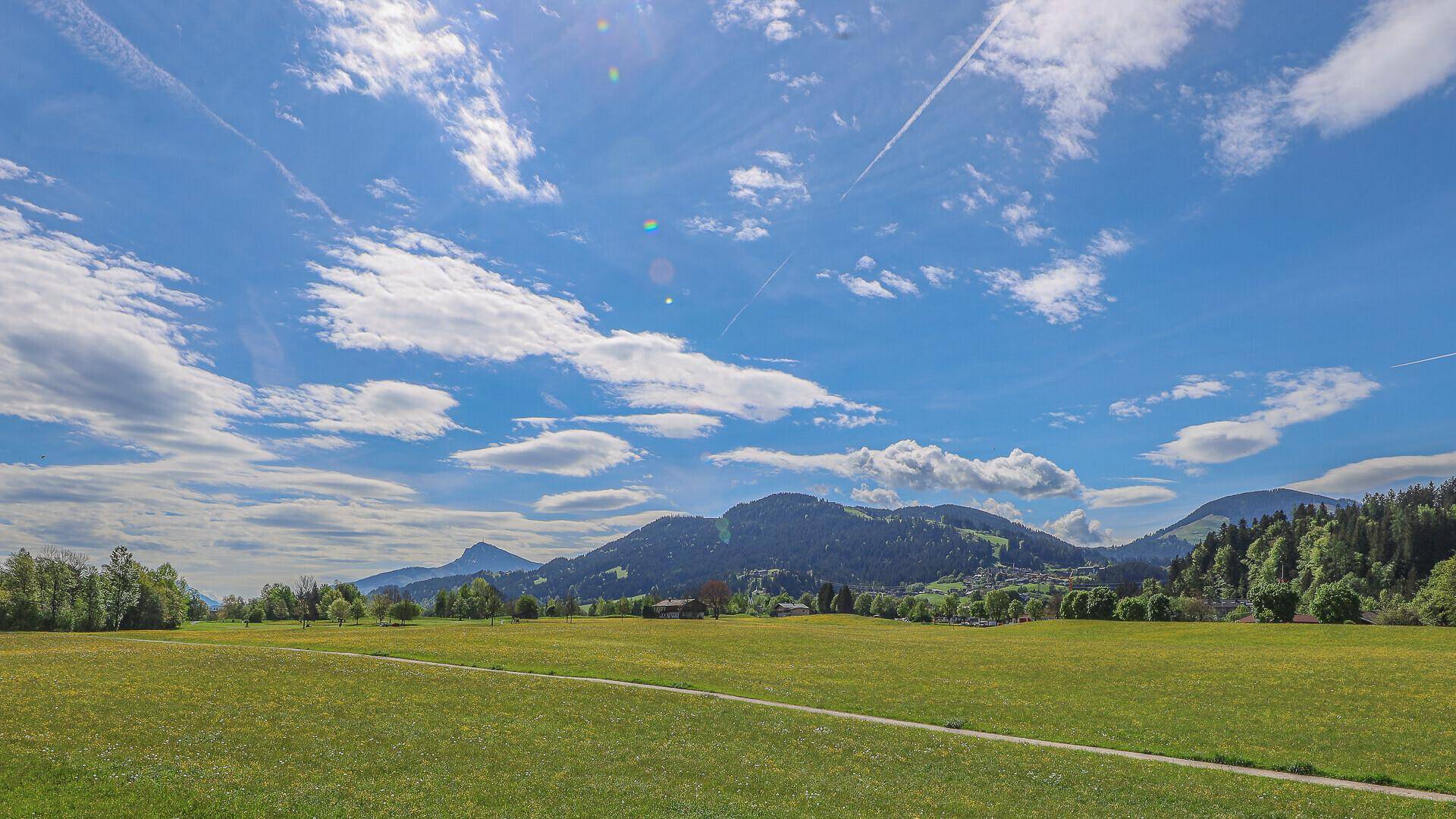 Weitläufige grüne Landschaft mit Bergen unter blauem Himmel, ideal für Naturliebhaber.