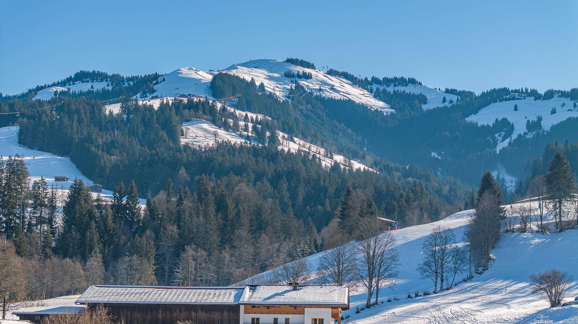 KITZIMMO-Grundstück mit Altbestand in sonniger Ruhelage kaufen - Immobilien Kirchberg.