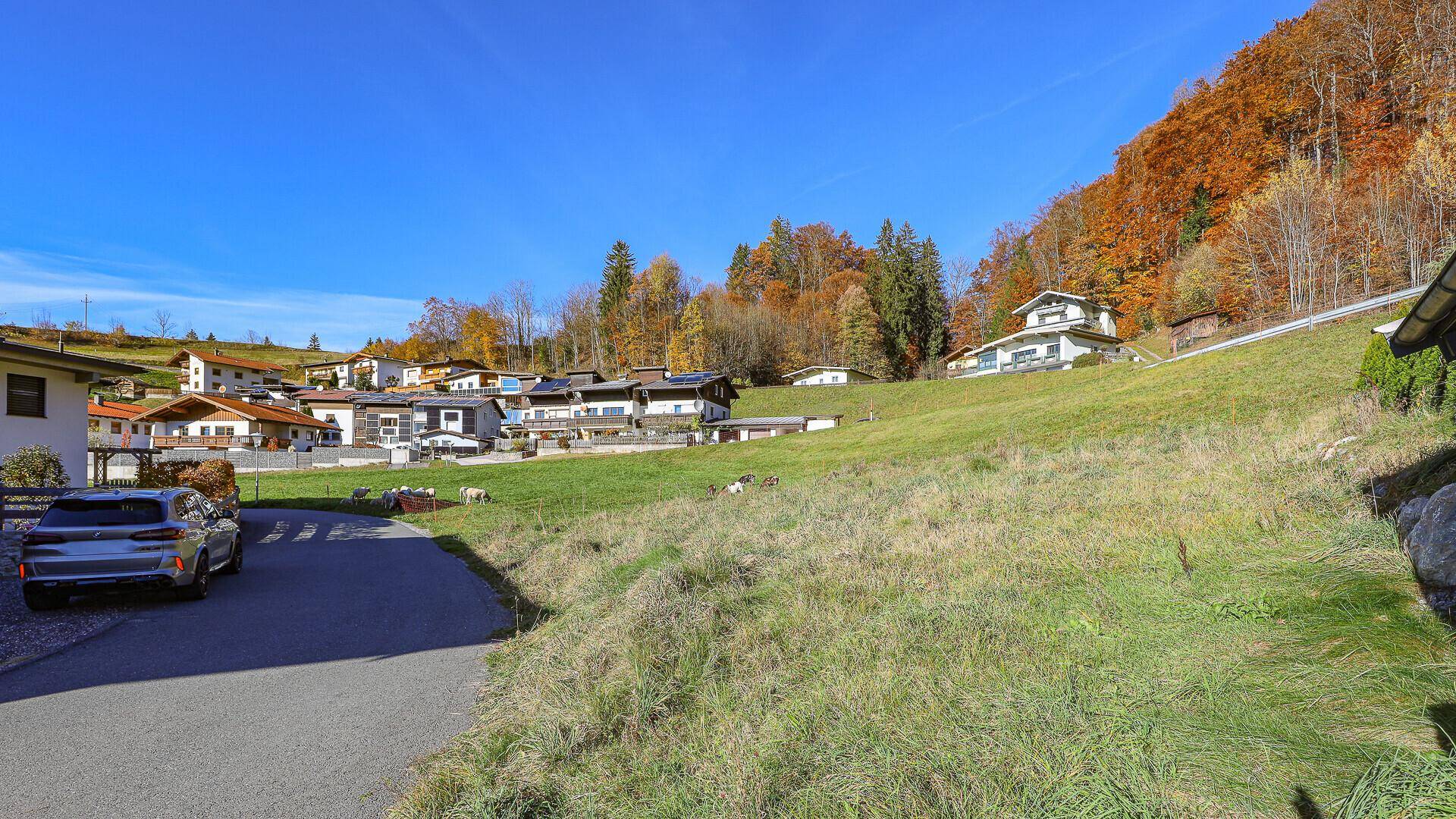 Ländliche Straße schlängelt sich durch grüne Hügel mit Häusern und herbstlichen Bäumen.