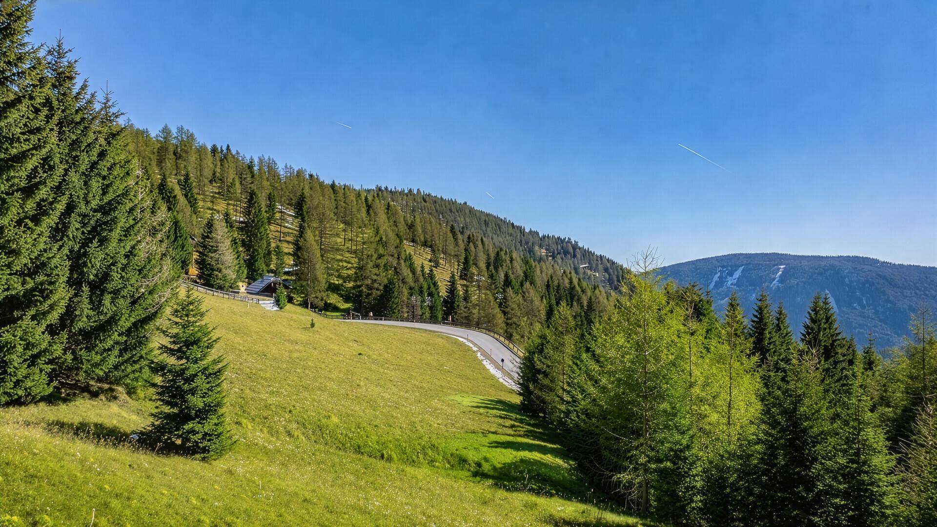 Eine kurvige Straße führt durch eine grüne, bewaldete Berglandschaft unter einem klaren blauen Himmel.