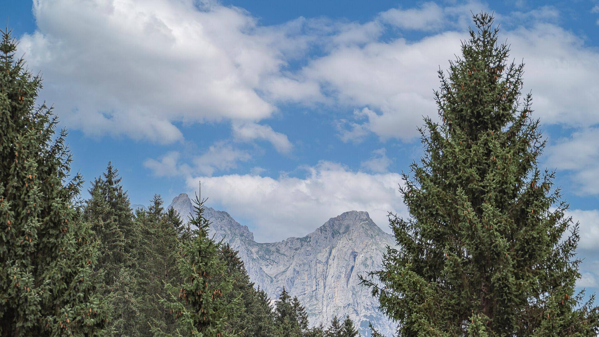 Majestätischer Bergblick mit dichten Wäldern unter einem strahlend blauen Himmel.