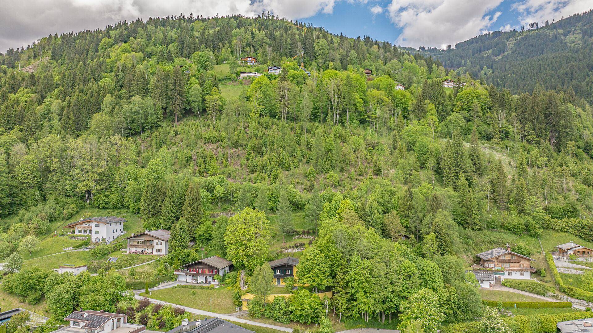 Luftaufnahme einer bewaldeten Hanglage mit mehreren Häusern und üppiger Natur.