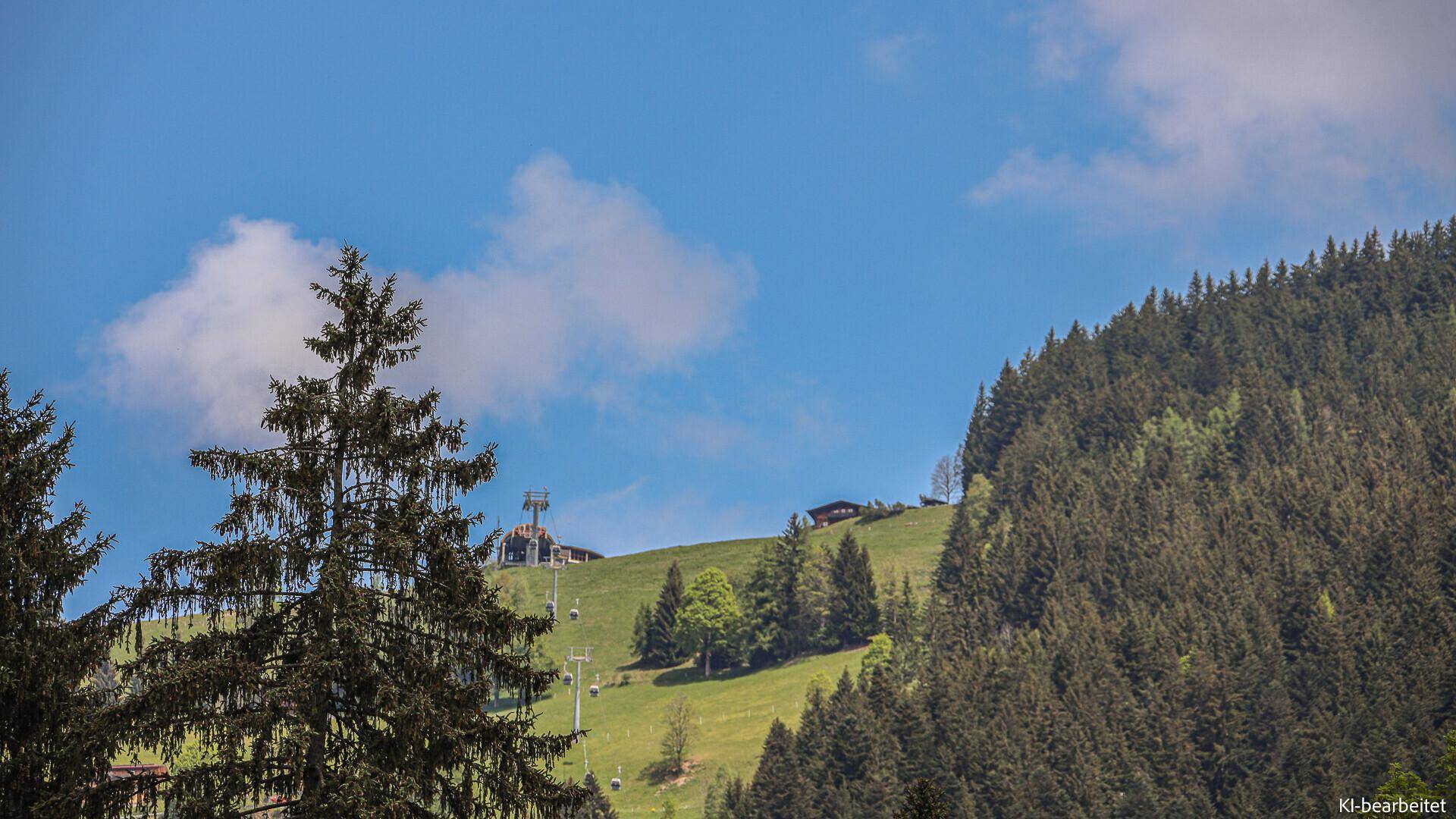 Grüne Berglandschaft mit dichten Wäldern und einem Skilift unter blauem Himmel.
