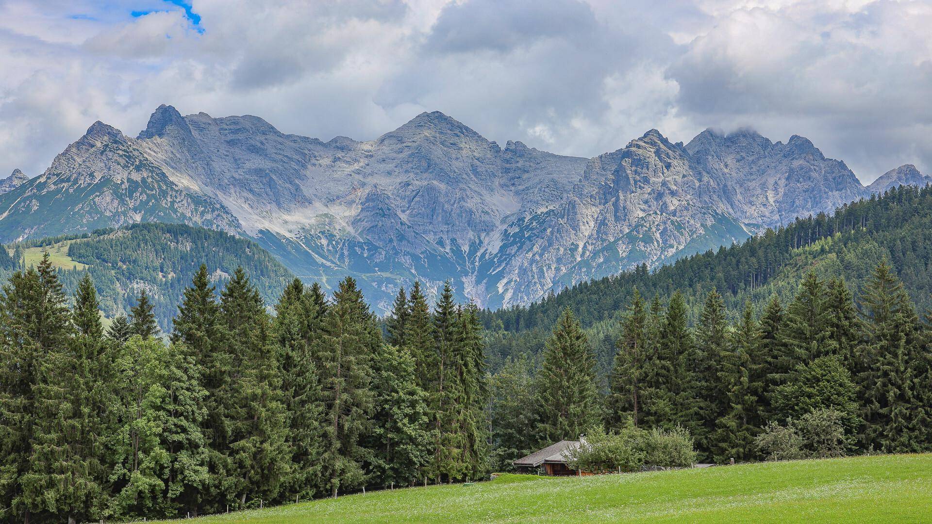 Beeindruckendes Bergpanorama mit bewaldeten Hängen und majestätischen Gipfeln unter bewölktem Himmel.