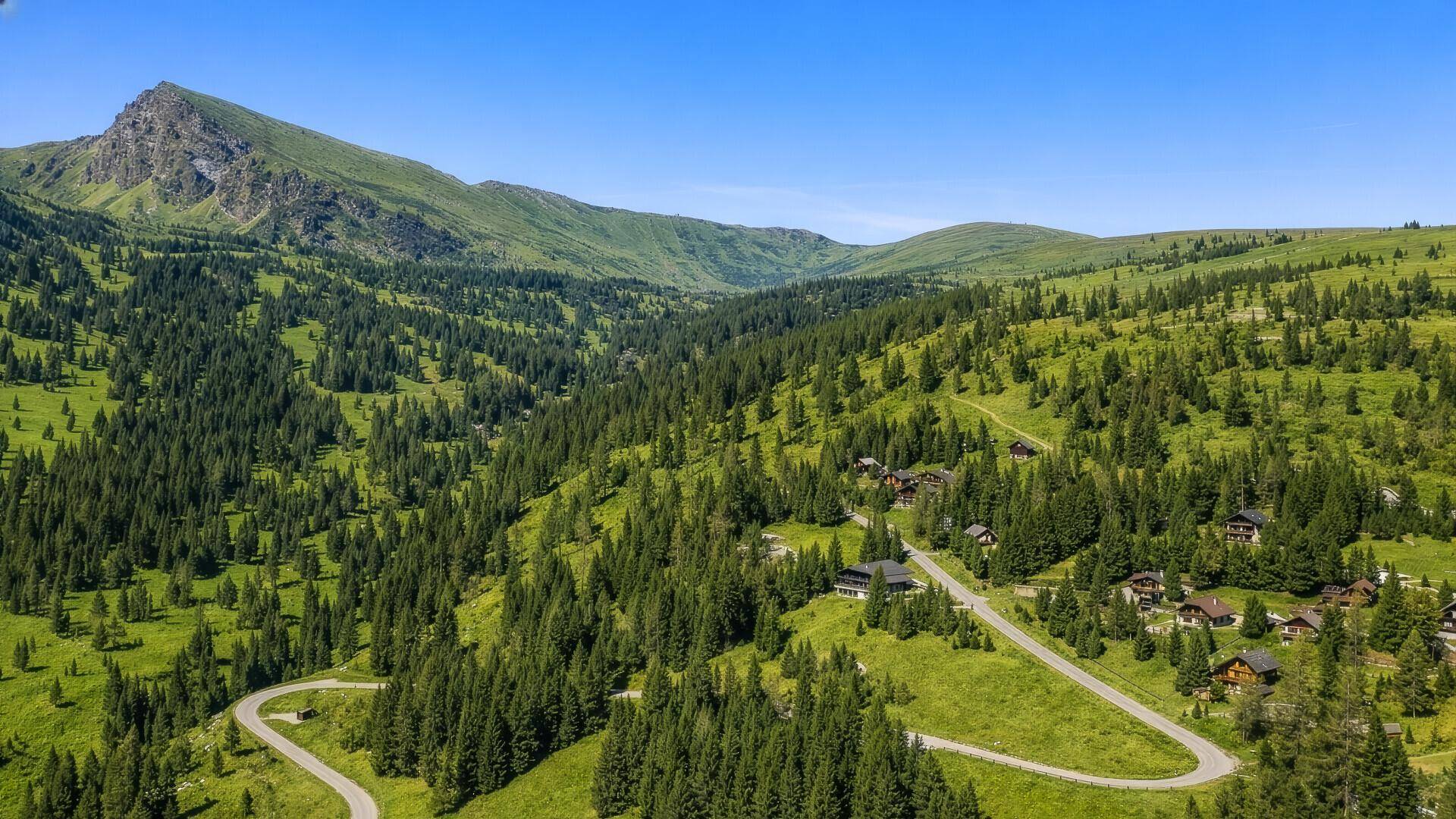 Panoramische Luftaufnahme einer weiten, grünen Berglandschaft mit dichten Wäldern und einer kurvigen Straße.